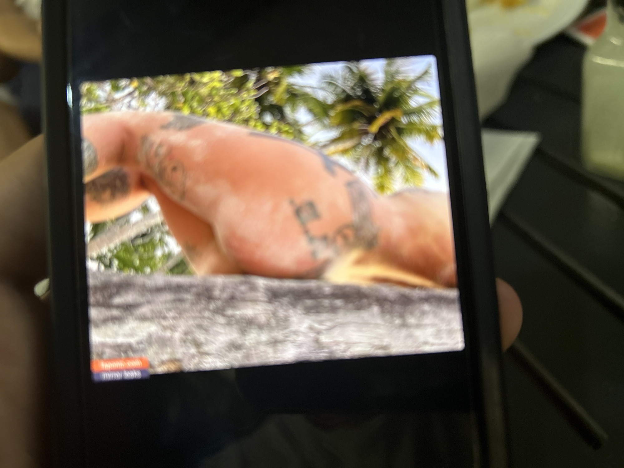The image displays a black smartphone held in a hand, with the screen oriented vertically. The screen itself presents a photograph featuring the upper torso and right arm of an individual, characterized by extensive tattooing across the arm and shoulder. The individual's skin tone appears tan. To the left of the individual in the displayed photograph is a large, rough-textured tree trunk. The background of the displayed photograph consists of several green palm trees against a bright, possibly clear, sky.
Critically, a banner located at the top-left corner of the displayed photograph within the smartphone screen explicitly states "Blagoevgrad, Bulgaria" in white text on a red background. Below this, "Diopros.com" is also visible.
The environment immediately surrounding the smartphone is out of focus, suggesting an indoor setting. Blurry shapes and colors are visible, including what appears to be a light-colored surface beneath the phone, possibly a table, with indistinct white packaging or paper and some yellow elements further in the background. Other blurry figures or objects are vaguely discernible in the distant background.