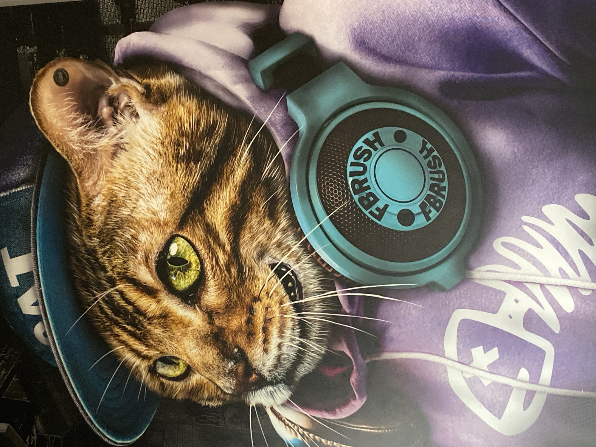 The media file is a close-up image of a tabby cat wearing headphones. The cat is looking directly at the camera with bright green eyes. It appears to be wearing a blue denim collar with white text that partially reads "CAT". The headphones are teal and have a circular earpiece with a mesh pattern and text that reads "FBRUSH FBRUSH" around the center. The cat is nestled within a purple hoodie. The background is dark and out of focus, but suggests an urban environment with some geometric patterns. There is no indication of the time of day, weather, or a specific location within Almaty, Kazakhstan. The cat's expression is neutral, but its direct gaze could be interpreted as engaging or curious.