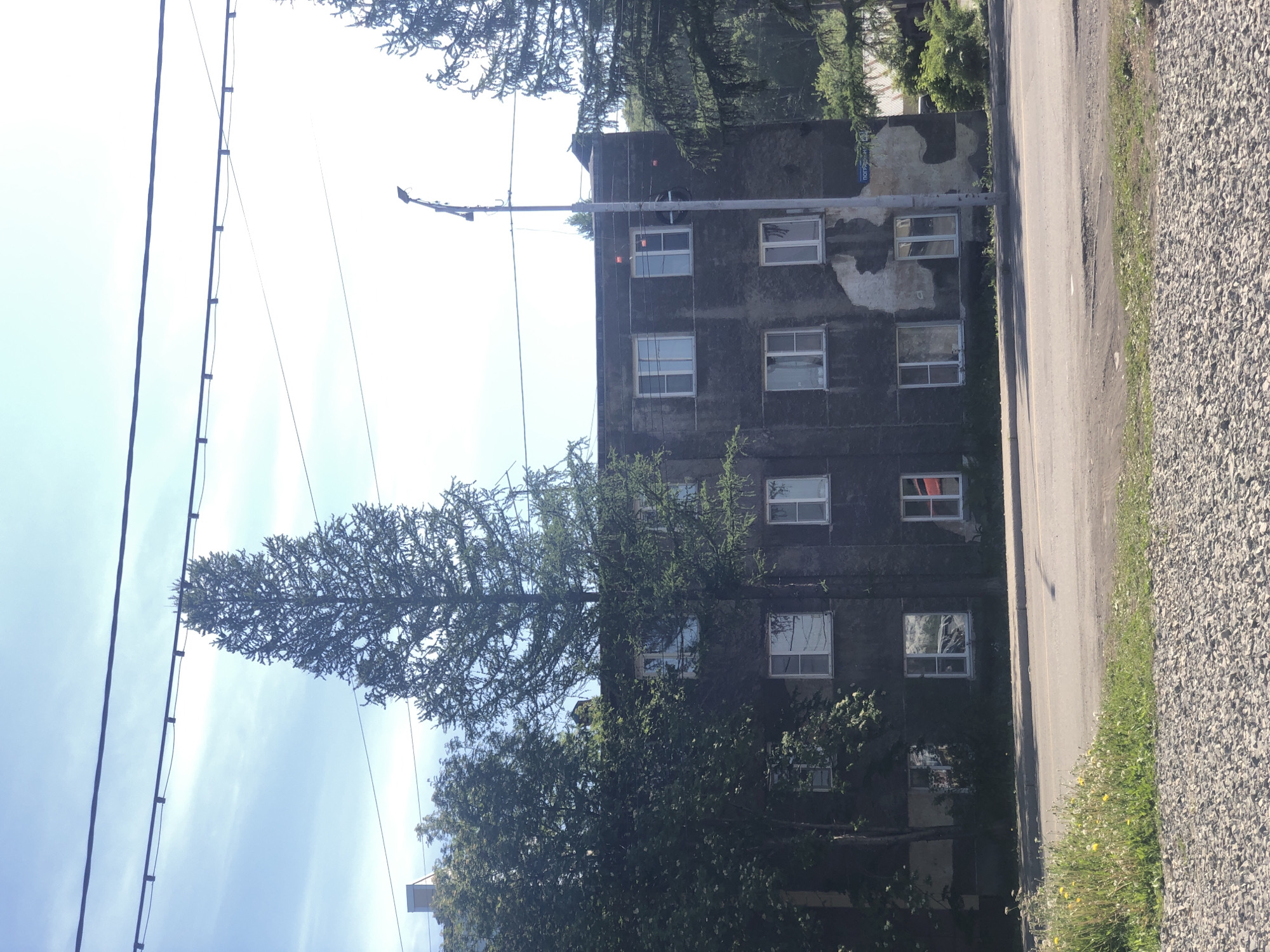 The image depicts a three-story, dark-colored apartment building with multiple windows on its facade. The building appears to be aged, with some peeling paint and repairs visible. Trees surround the building, with one tall, conical evergreen tree prominently featured in the center of the image. A street light is positioned in front of the building, and power lines are visible overhead. The foreground shows a gravel surface and a paved road, with a patch of green grass and wildflowers bordering the road. The sky is blue with some wispy clouds. The setting appears to be a residential area in the city of Yelizovo, Russia, likely during daylight hours.