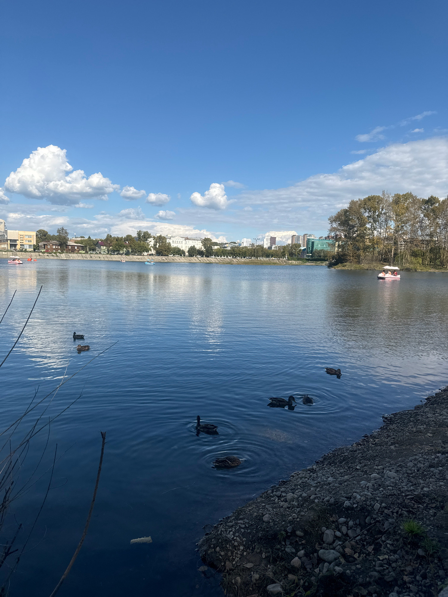 The image depicts a serene scene at the Irkutsk Reservoir in Irkutsk, Russia. The reservoir's calm, blue water reflects the clear sky and scattered white clouds. In the distance, the cityscape of Irkutsk is visible, with a line of buildings and trees along the shoreline. Several small boats, including paddle boats and a pink pedal boat with people on board, are scattered across the water. Ducks are swimming in various parts of the reservoir, some in small groups, creating ripples on the surface. The foreground shows a rocky embankment with some dry branches and vegetation. The overall atmosphere is peaceful and captures a typical day at the reservoir.