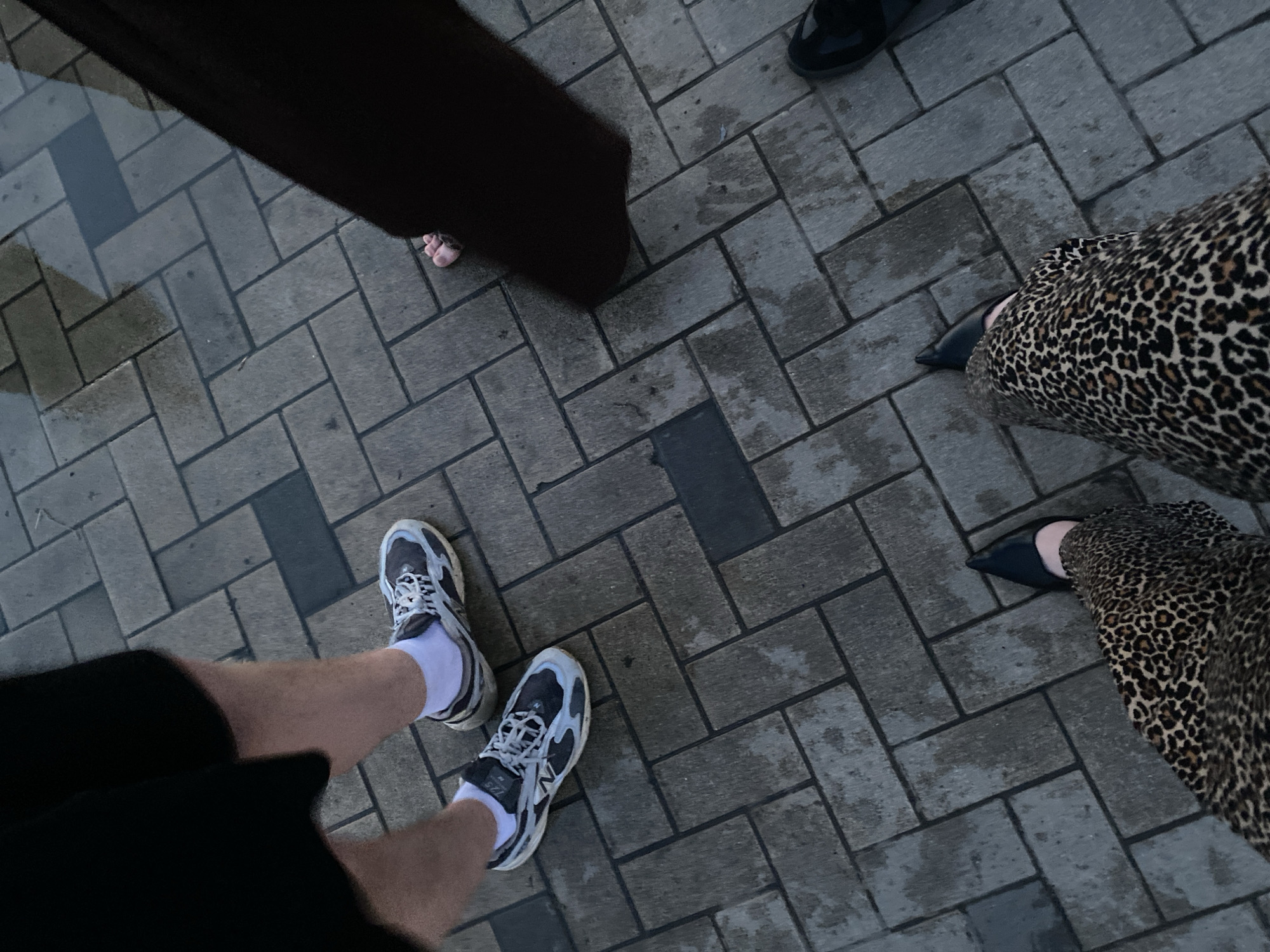 The image shows a close-up view of several pairs of legs and feet standing on a wet, paved walkway. The paving stones are rectangular and laid in a herringbone pattern. There are puddles of water on the walkway, indicating it has recently rained.
In the upper left, a person is wearing black shorts and white socks with grey and white athletic shoes. The person's legs appear to be hairy.
To the right of this, a person is wearing dark brown trousers. A bare foot with pink toes is visible between the hem of the trousers and the walkway.
In the lower half of the image, a person is wearing a leopard-print skirt and black pointed-toe heels. Another person's legs and feet are partially visible to the right, wearing black shoes.
The scene is outdoors, possibly a street or public area in Nizhny Novgorod, Russia, given the wet pavement and typical urban paving stone style. The lighting suggests it is either overcast or dusk.
