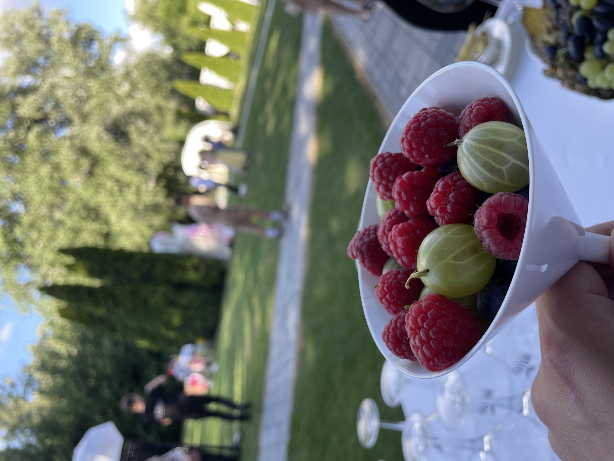 In Vadul lui Voda, Moldova, a close-up shot shows a white martini glass filled with a variety of fresh berries, including raspberries, gooseberries, and blueberries. The glass is held by a person whose hand is visible in the lower left corner of the frame. The background is a blurred outdoor scene with a green lawn, trees, and people in the distance, suggesting an event or gathering. The lighting suggests it is daytime.