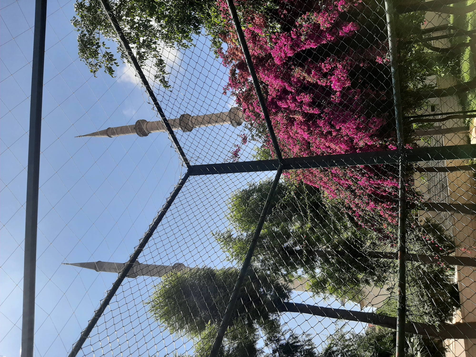 The image is taken from behind a wire fence looking up at two minarets of a mosque. Bright bougainvillea flowers are on the right side of the frame and the sky is blue. The mosque is probably located in Alanya, Turkey.