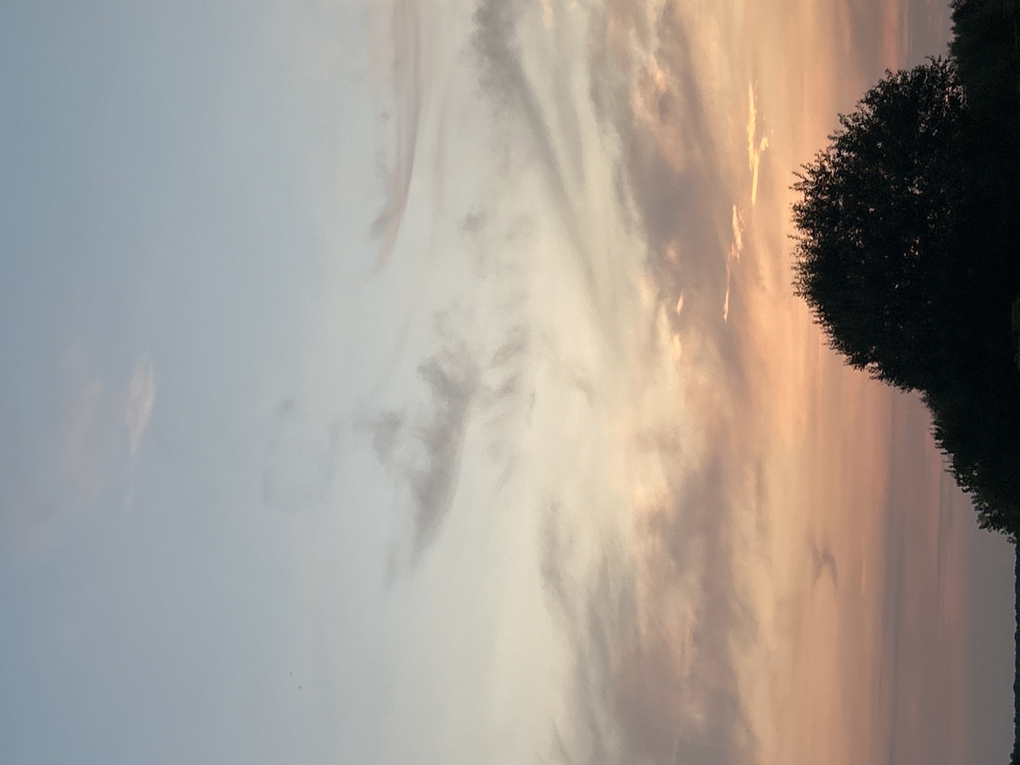 A silhouette of a large, dense tree dominates the lower right quadrant of the image, set against a twilight sky. The sky transitions from a pale blue at the top to soft hues of orange and pink near the horizon, indicating either sunrise or sunset. Wispy clouds are scattered across the sky, with some appearing more defined and others resembling streaks. The horizon line is low, suggesting an open landscape, with hints of darker foliage or landmass visible behind the tree. The image appears to be taken in a natural, outdoor setting, possibly a park or a rural area in or around Калицино, Russia, during the transitional light of dawn or dusk. There are no visible people or specific man-made structures.
