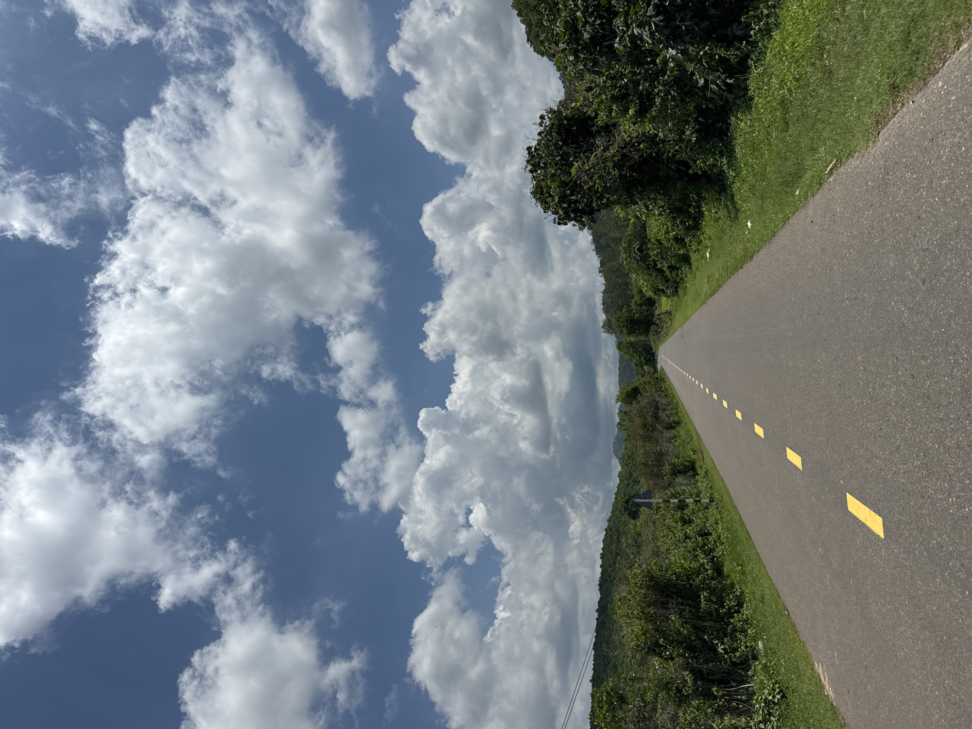 The image depicts a straight, paved road with a grey asphalt surface, marked with a broken yellow line down the center. The road recedes into the distance, bordered on both sides by lush green vegetation and trees. The sky above is a vibrant blue, dotted with numerous fluffy white clouds. The scene is tranquil and rural, suggestive of a location outside of a densely populated urban area. Given the context, this scene is likely located in the city of Ham Thuan Bac, Vietnam, a region known for its natural beauty and agricultural landscapes.