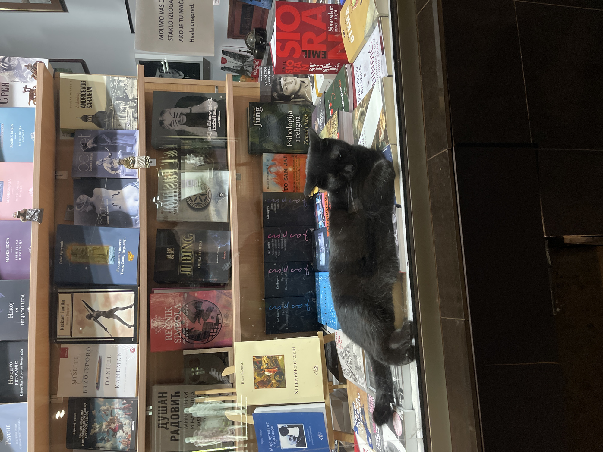 The image shows a black cat sleeping on a stack of books behind a glass display window of a bookstore in Belgrade, Serbia. The books are arranged in rows, with titles in both Cyrillic and Latin script. The books are generally about mythology, psychology, philosophy, and literature. A small sign taped to the display case asks customers not to touch the glass case if the cat is there.