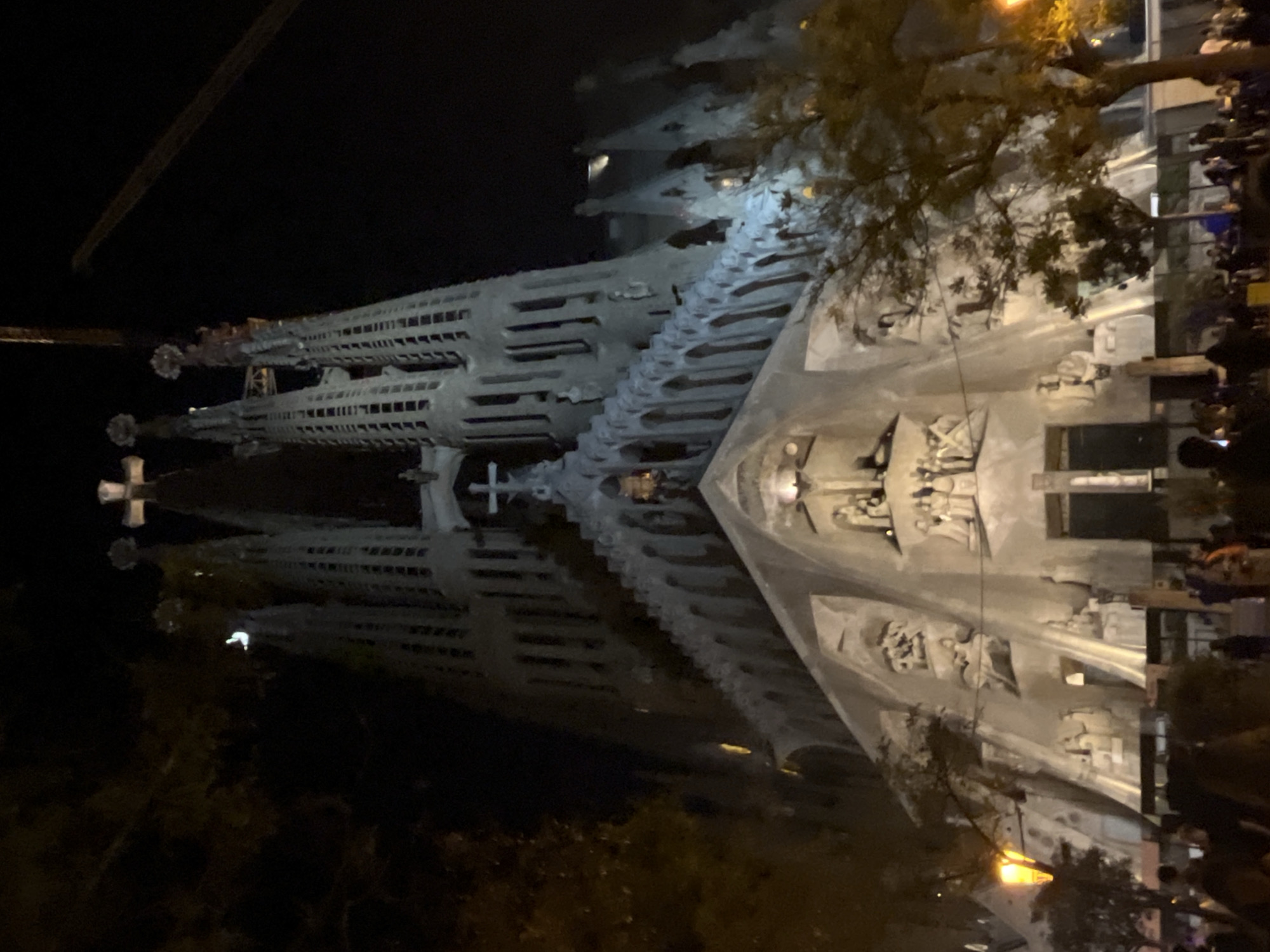 The image captures the iconic Sagrada Familia basilica in Barcelona, Spain, at night, presented with a vertical orientation (rotated clockwise 90 degrees from its natural upright position). The massive, intricately designed building dominates the scene, its complex spires and detailed facades brightly illuminated against the dark night sky.
The main subject is the Sagrada Familia, characterized by its distinctive, organic architecture and numerous sculptural elements adorning the facade on the right side of the image. Multiple tall, geometric spires with varying patterns are visible, crowned with crosses or other religious symbols. The artificial lighting accentuates the architectural details and textures of the stone.
A striking feature is the building's clear reflection in a body of water or highly reflective surface in the foreground (bottom-left of the reoriented image). This reflection creates a near-symmetrical duplicate of the illuminated structure, extending into the darkness below.
On the far right edge, a small gathering of people can be seen, silhouetted against the bright facade, indicating the site is a popular destination even at night. Dark tree branches and foliage partially frame the upper right and lower left portions of the scene, adding natural elements to the urban setting. The overall time of day is clearly nighttime, with artificial lights providing the sole illumination. The scene conveys a sense of grandeur and awe, typical of a famous architectural landmark observed in dramatic lighting. No visible text is present in the image.