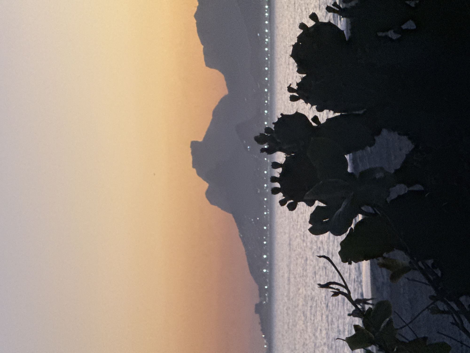 The image depicts a twilight scene at Praia de Icaraí in Niterói, Brazil. In the foreground, the silhouette of a prickly pear cactus dominates the lower portion of the frame, its pads and buds stark against the dusky sky. Beyond the cactus, the gentle waves of Guanabara Bay lap against a sandy beach. Two indistinct human figures are visible on the shore, one standing near the water's edge and another further back. In the middle ground, the lights of the Niterói cityscape twinkle along the coastline, creating a soft glow. The distant background is characterized by the dramatic silhouettes of mountains, likely part of the Serra da Carioca range, rising against a gradient of orange and pale purple sky. The overall mood is serene and contemplative, characteristic of a sunset or early evening view.