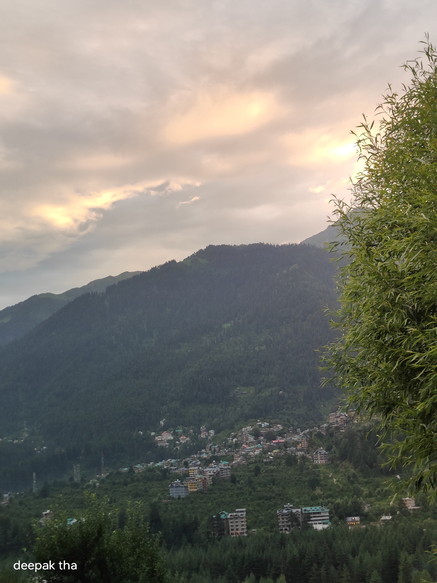 This is a landscape photograph taken in Vashisht, India, likely during sunset or sunrise, given the warm glow in the sky. The image features a densely forested mountain slope that dominates the background. A town, characterized by numerous buildings with colorful roofs, is nestled on the lower part of the slope, suggesting a hillside village or town. In the foreground, on the right side of the frame, a large tree with vibrant green leaves partially obscures the view, adding depth to the scene. The sky above is partially cloudy, with soft, warm light breaking through the clouds. The overall atmosphere is serene and picturesque, capturing the natural beauty of the mountainous region and the settlement within it. The text "deepak tha" is present in the bottom left corner of the image.