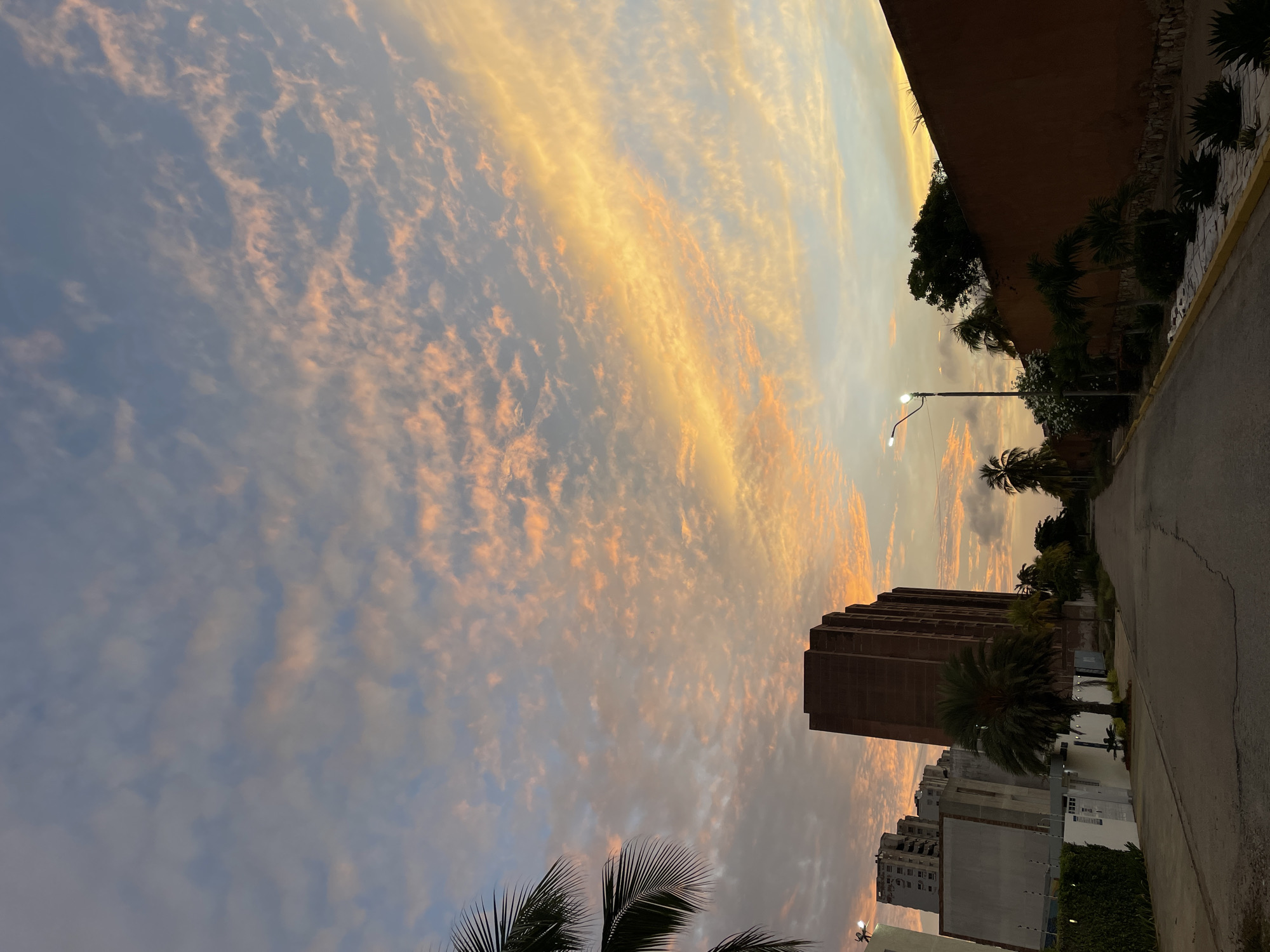 An exterior, eye-level, vertical shot captures a street scene at dusk in Porlamar, Venezuela. The sky is filled with wispy clouds, tinged with vibrant hues of orange and yellow from the setting sun, contrasting with the pale blue sky. In the background, several multi-story buildings rise above palm trees and other greenery. A tall, rectangular, dark brick building with multiple windows dominates the mid-ground to the left of the frame. A paved road with some cracks leads into the distance, lined with sidewalks, low walls, and vegetation. A streetlamp is illuminated on the left side of the road. A tall, reddish-brown wall runs along the right side of the street, partially obscuring the view of further buildings. There are no people visible in the image.