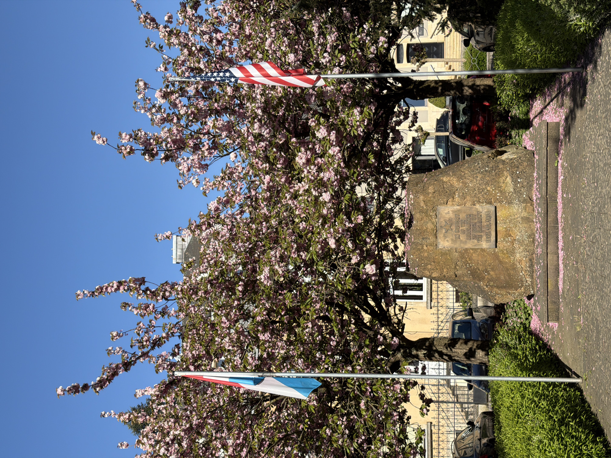 A view of a floral tree in Esch-sur-Alzette, Luxembourg, taken at ground level. The blue sky is visible in the background. A monument made of stone stands in the center of the image, with two flags. The United States flag is positioned towards the top of the tree, and the flag of Luxembourg is positioned towards the bottom. The surrounding area includes green vegetation and some visible buildings. A few cars are parked around.