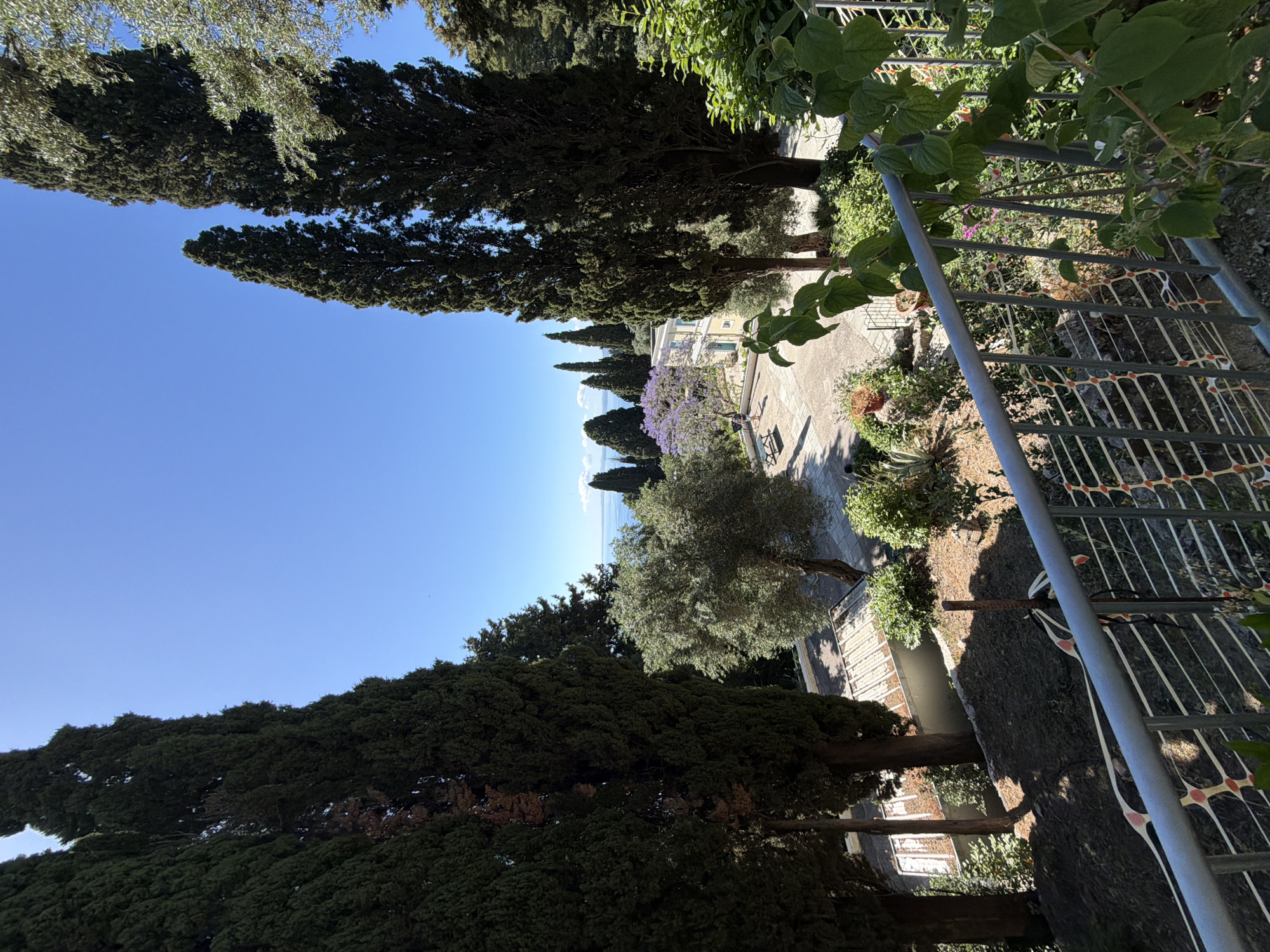 This image captures a serene, sunlit landscape, likely in a Mediterranean setting such as Gastouri, Greece, as indicated by the provided context. The view, when correctly oriented, looks out from an elevated position across a verdant area towards a distant body of water, presumably the sea, under a clear blue sky.
The scene is dominated by numerous tall, dark green trees, primarily slender cypress trees, which punctuate the landscape. In the mid-ground, a tree with distinctive purple blossoms, likely a Jacaranda, adds a vibrant splash of color. Other trees with lighter green, broader leaves, possibly olive trees, are also visible. Beyond the immediate foliage, glimpses of light-colored buildings with balconies or terraces can be seen, suggesting a settlement or estate nestled among the greenery.
In the foreground, on the right side, a grey metal railing or fence is prominent, with a white and orange net-like material attached to it, indicating a viewing point or a boundary for a garden or pathway. The ground features paved areas and natural earth with some smaller plants and shrubbery.
The time of day is bright daylight, likely morning or early afternoon, as evidenced by the strong sunlight and the distinct shadows cast by the trees and structures. The weather is clear and sunny, contributing to the tranquil and picturesque atmosphere. There are no people visible, and no specific activity is taking place. No discernible text is present in the image.