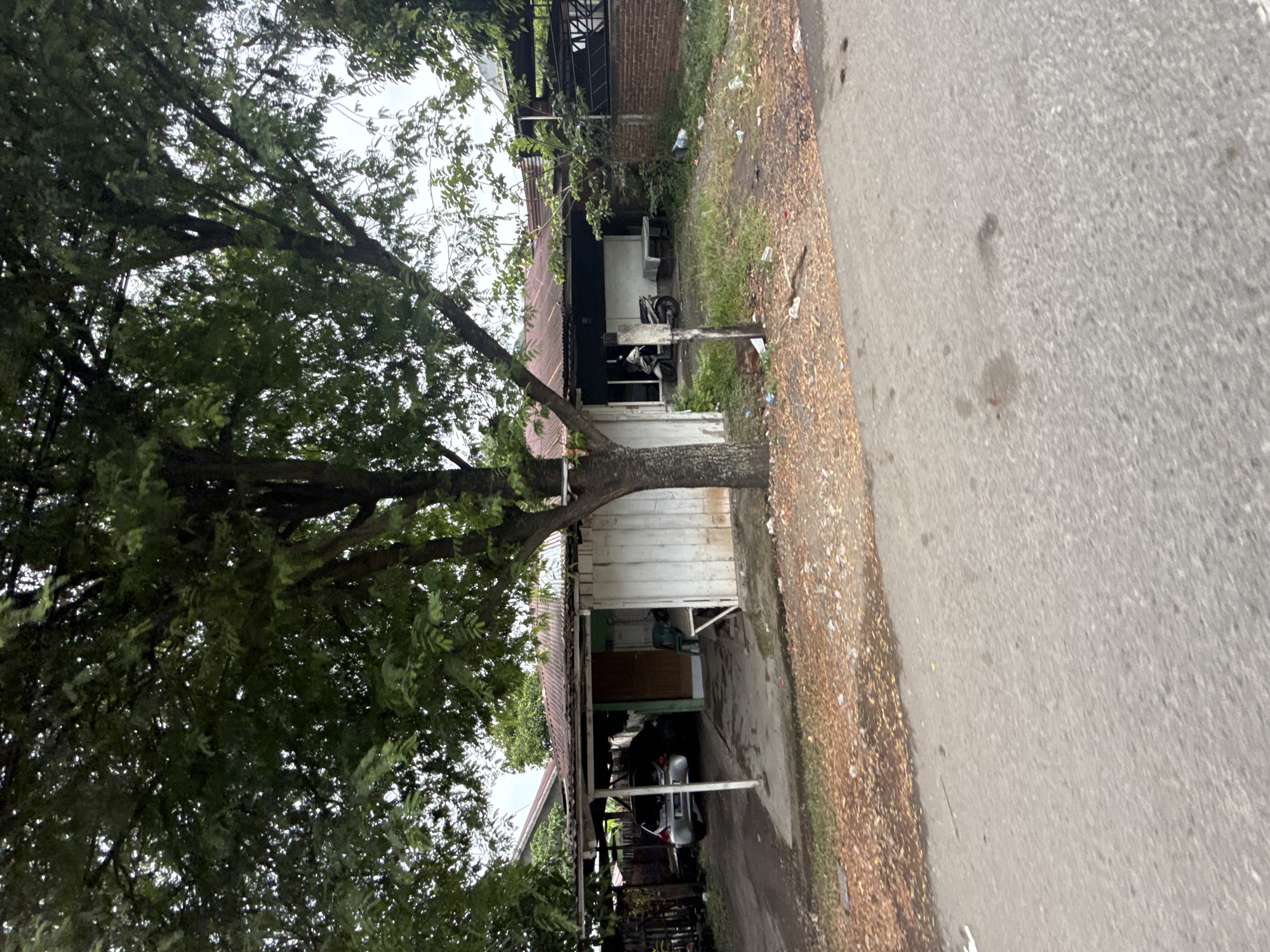 The image depicts a modest, single-story structure in Ajuen, Indonesia, with a corrugated metal roof. The building appears to be a residence or small business, constructed with white wooden walls. To the left, a carport shelters a silver car. A motorcycle is parked in front of the building, near a small table and chairs. The surrounding area is overgrown with grass and scattered with debris, including plastic bottles. A large tree with dense foliage dominates the foreground, partially obscuring the structure. A paved road runs in front of the property, with fallen leaves and dirt on the roadside. The sky is overcast, suggesting a cloudy day. There are no people visible in the image.