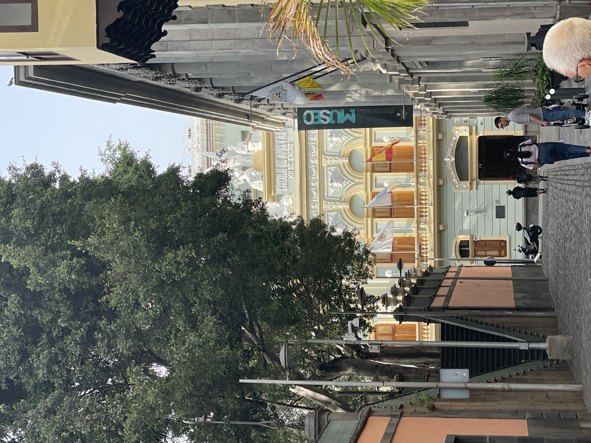 The image depicts a street scene in Santa Cruz de Tenerife, Spain, oriented sideways. The architecture is ornate, with a building identified by a sign as a museum ("Museo") dedicated to Fine Arts ("Bellas Artes") in Santa Cruz de Tenerife. The building has a light blue facade with beige trim, decorative statues on the roof, and flags hanging from the front. A large tree dominates the left side of the image, partially obscuring the building. A row of lampposts and wrought iron fences lines the street. Several people are walking on the sidewalk, including a man in a gray shirt and sunglasses, a person in a black dress and a white backpack. A parked motorcycle is visible on the right side of the street. The weather appears clear and sunny.