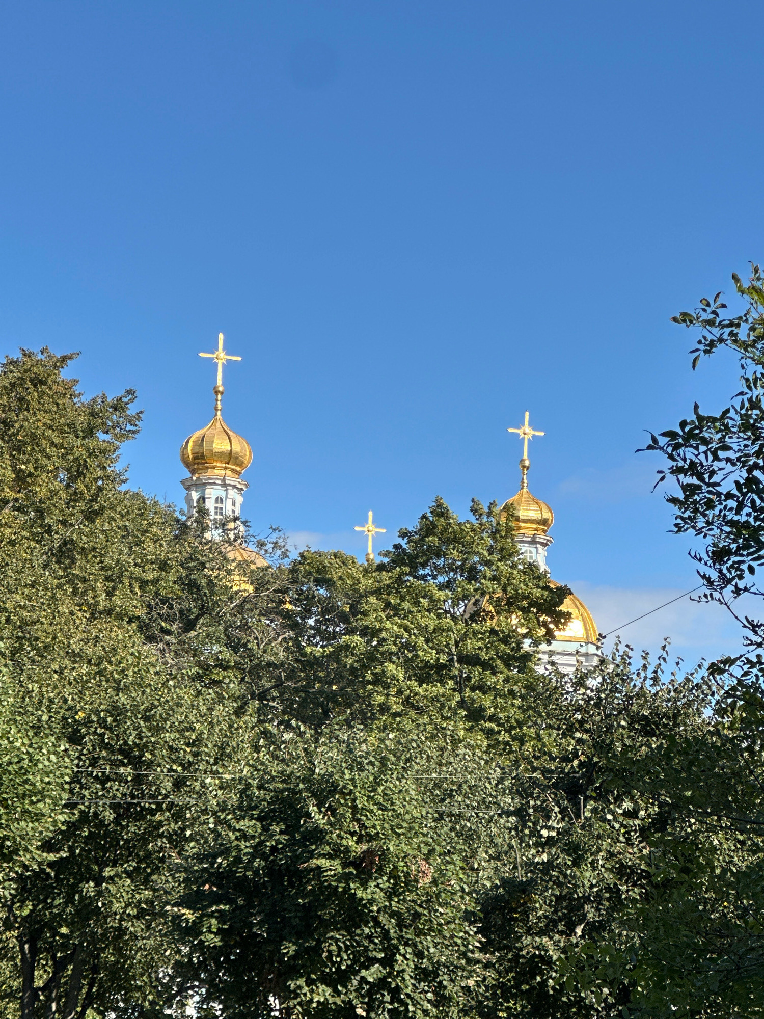 This is a vertical, medium shot of the golden domes and crosses of St. Isaac's Cathedral in Saint Petersburg, Russia, peeking through lush green trees under a clear blue sky. The cathedral's ornate architecture is visible, with its distinctive onion domes topped by golden crosses. The foliage of the trees is dense, creating a natural frame for the religious structures. The image is taken from a low angle, emphasizing the grandeur of the cathedral.