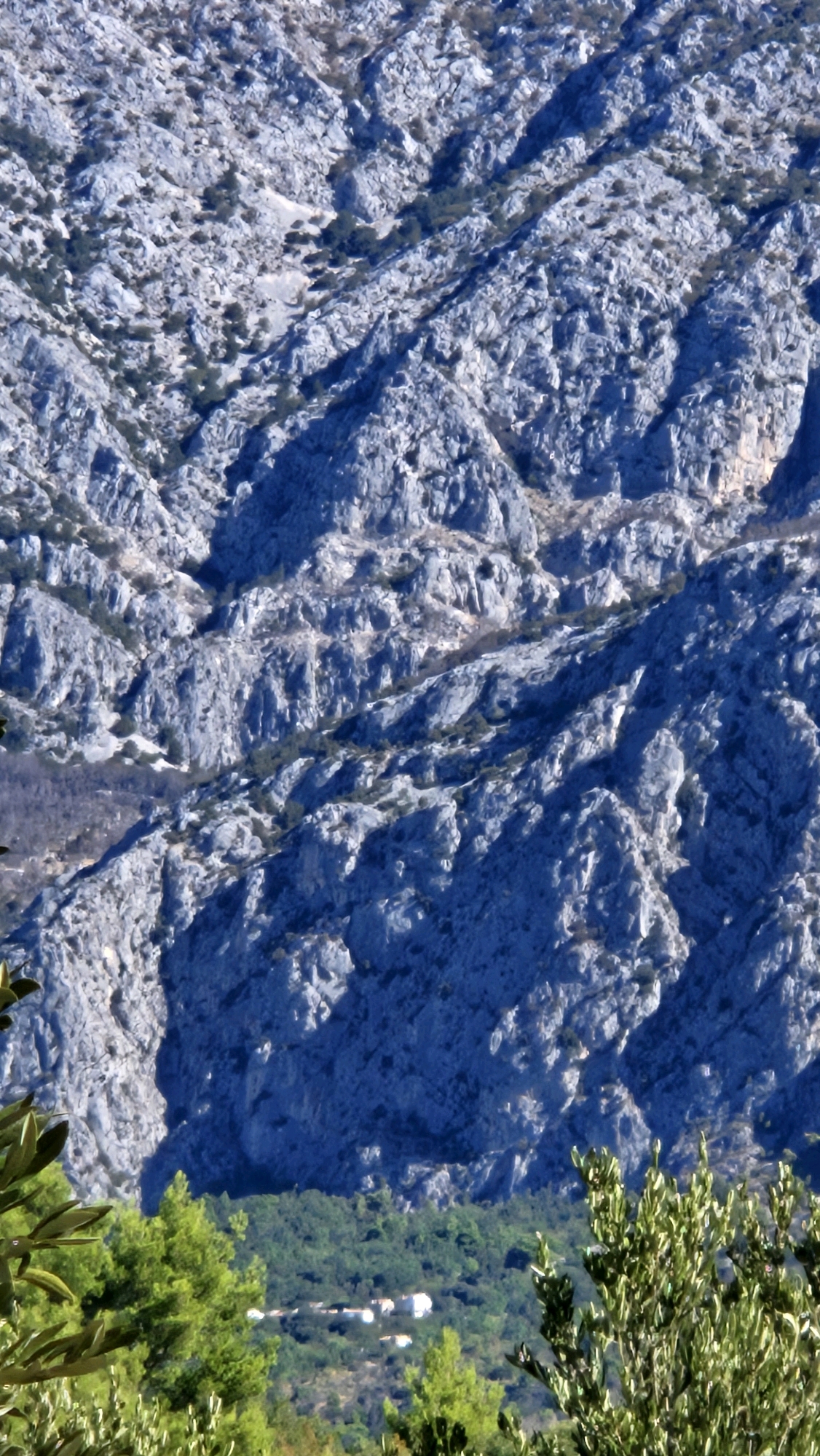 This image captures a rugged, mountainous landscape in Općina Podgora, Croatia. The dominant feature is a steep, rocky mountainside characterized by sharp, grey rock formations and deep shadows, suggesting a sunny day with harsh lighting. Sparse vegetation, appearing as dark green patches, is scattered across the slopes. In the lower section of the image, a densely forested area transitions to a small settlement. Several white-roofed buildings are visible amidst the trees, indicative of a village or cluster of houses. The foreground is partially obscured by the foliage of what appears to be olive trees, with their characteristic green leaves. The scene conveys a sense of natural grandeur and a harmonious coexistence of the wild mountain environment with human habitation.