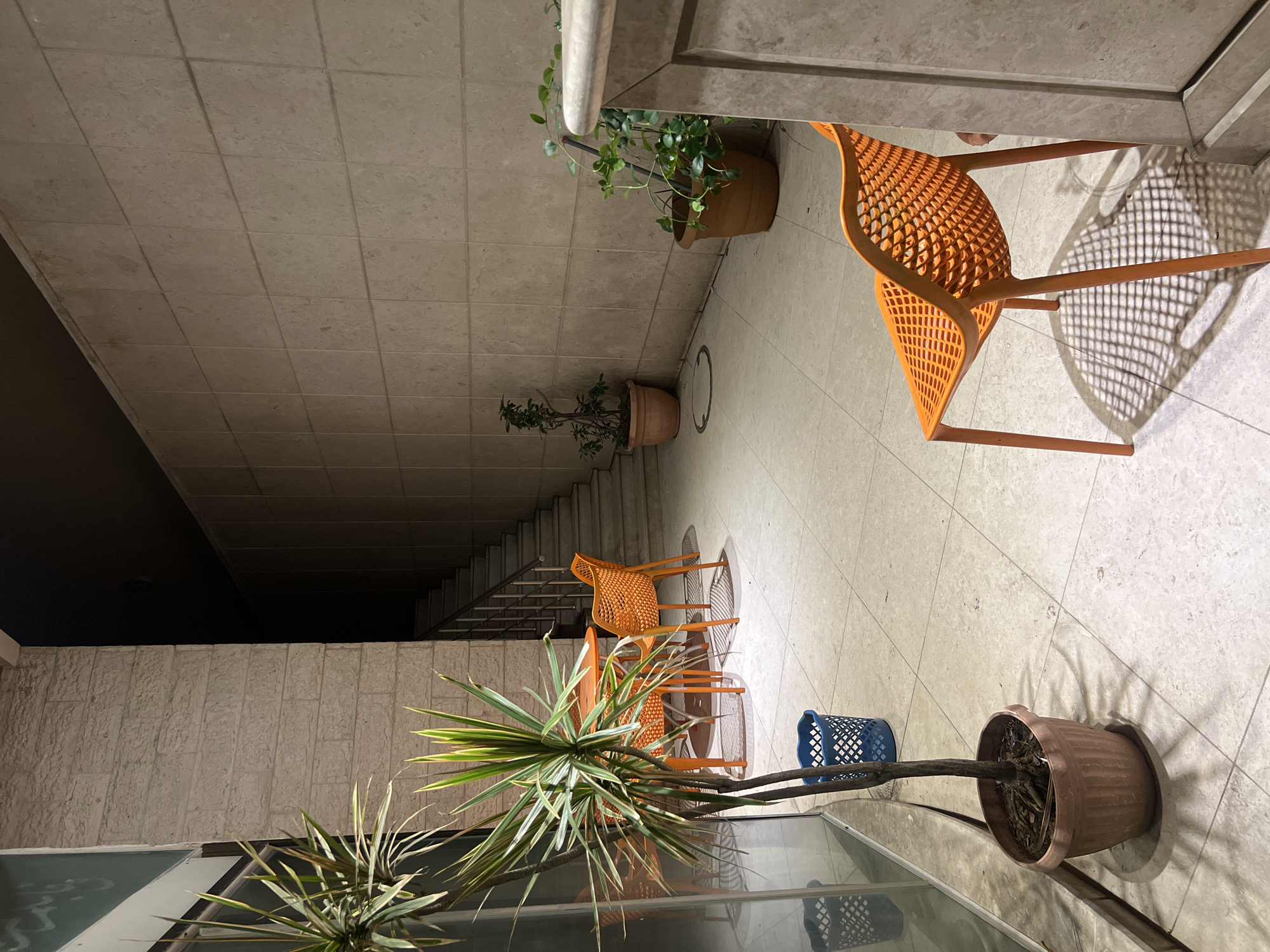 The image depicts an outdoor scene, likely a courtyard or walkway, with tiled flooring and walls. The perspective is from a high angle, looking downwards. Several orange plastic chairs with a lattice design are present, casting intricate shadows on the ground, suggesting it is daytime with bright sunlight.
In the background, a set of stairs ascends to a dark upper level, bordered by a textured concrete wall. Two potted plants add greenery to the scene. One is a large potted plant with sprawling vines, situated near the top of the stairs. Another, smaller potted plant with dark, bare branches is positioned further down.
In the foreground, a spiky green plant with variegated leaves is prominently featured, suggesting a warm climate. A blue woven basket sits on the floor near this plant. A large, ribbed terracotta pot with dry soil and visible roots is also in the foreground, possibly for a plant that has withered or been removed.
The overall impression is one of a simple, functional outdoor space, perhaps in a residential or commercial area. There are no people visible. The lighting suggests it is daytime. The location context of Gaza, Palestinian Territories, may inform the visual elements, such as the style of architecture and the types of plants, though no explicit text or overt cultural markers are visible to confirm this definitively.
