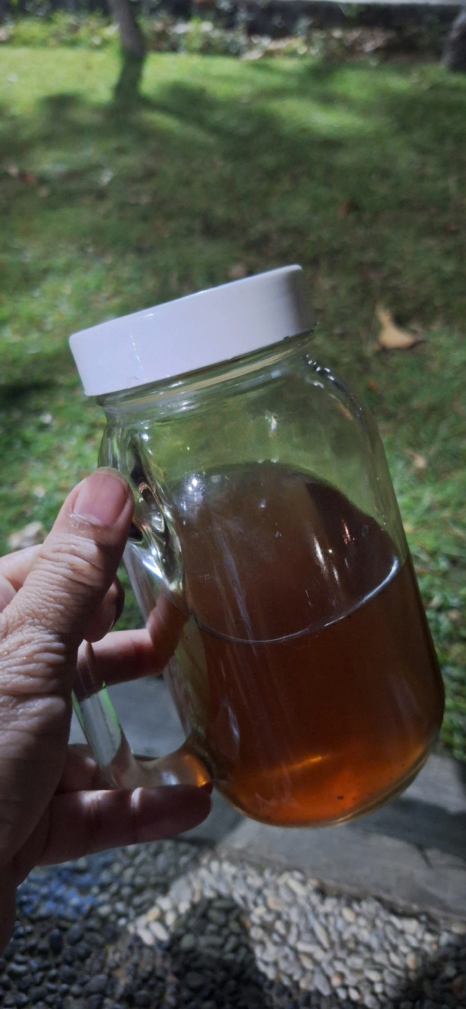 A person's hand, with visible wrinkles and a trimmed fingernail, holds a clear glass mug filled with a dark amber liquid, possibly tea or a similar beverage. The mug has a white lid and a handle. The background is out of focus, showing a grassy area with dappled sunlight and shadows from trees, suggesting an outdoor setting in a garden or park. The ground in the foreground is covered with small, grey and white pebbles. The scene appears to be located in Denpasar, Indonesia, based on the provided context.