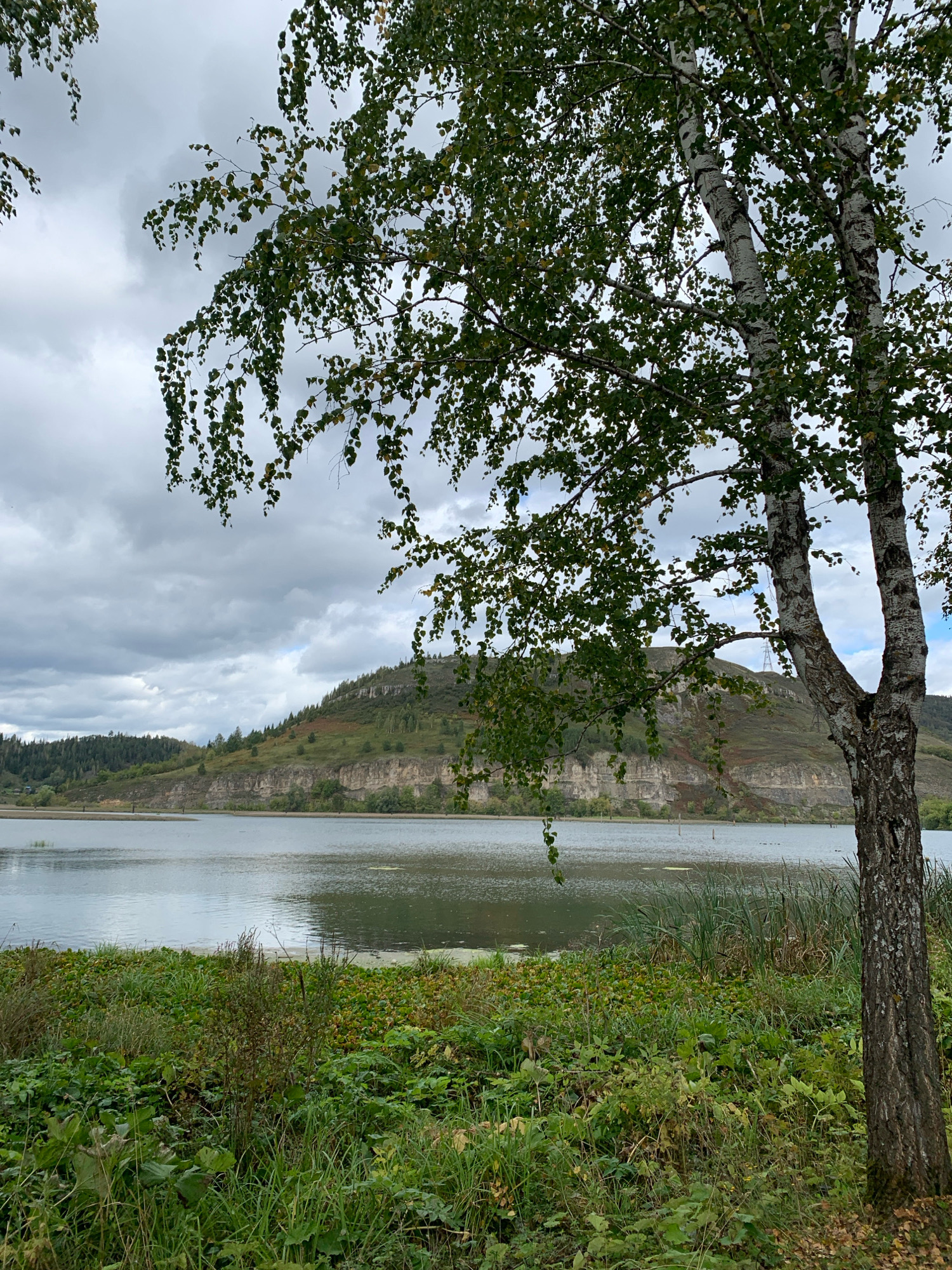 This image depicts a natural landscape scene at the edge of the city of Minyar, Russia. In the foreground, a birch tree with distinctive white and black bark stands on the right, its branches draped with green leaves. The ground in front of the tree is covered with lush green grass, some weeds, and fallen leaves, suggesting an autumn setting. Beyond the vegetation, a calm body of water, likely the Sim River, stretches across the middle ground. The water reflects the overcast sky, which is filled with grey and white clouds. Across the river, a steep, rocky hill rises, covered in patches of green and brown vegetation, including some scattered trees. The hill has visible stratified rock formations. The background shows more distant forested hills under the cloudy sky. The overall atmosphere is serene and natural.
