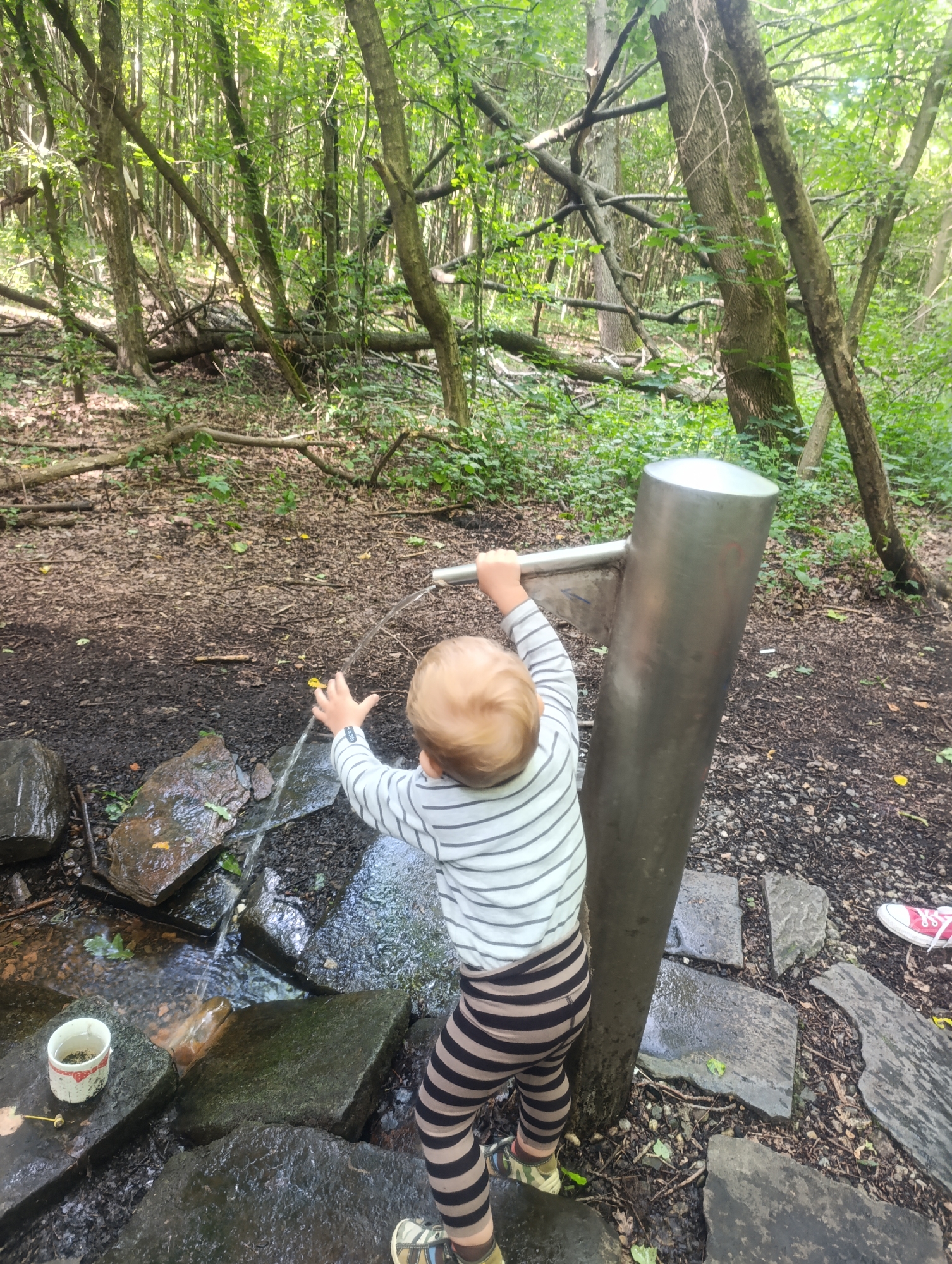 In a forest setting with dense trees and undergrowth, a young child, wearing a striped long-sleeved shirt and striped pants, stands to the right of a tall, cylindrical metal structure. Water is being dispensed from a spigot on the metal structure, flowing onto a collection of flat, wet stones. The child's hands are extended towards the water. To the left of the child, a small white cup with a brown rim sits on one of the wet stones. The ground is covered in dark soil and fallen leaves. The lighting suggests it is daytime. This scene is located in the Svatopluk Park in Olomouc, Czechia.
