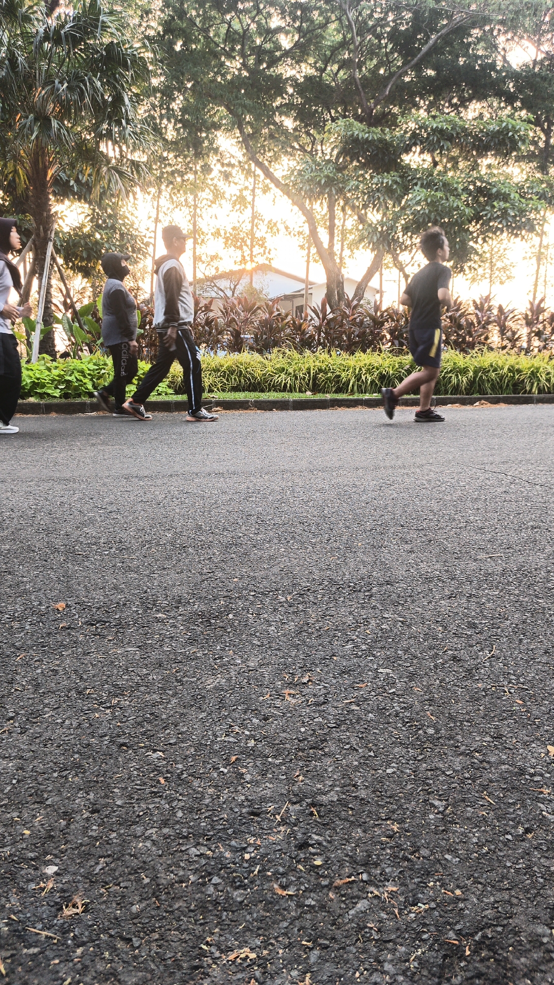 The image captures a group of four individuals walking and running on an asphalt path in what appears to be a park or recreational area. The scene is set during either sunrise or sunset, as evidenced by the warm, golden light filtering through the trees in the background.
On the left side of the path, a person wearing a black head covering and grey long-sleeved shirt is walking. Next to them, a person in a grey hooded sweatshirt and black pants is also walking. Further to the right, a person in a grey and black long-sleeved shirt and black pants is walking. On the far right, a person in a black t-shirt and yellow-trimmed shorts is running.
The path is paved with dark asphalt and shows some scattered leaves and debris. Behind the path, there is a strip of lush green grass followed by a dense row of ornamental plants with deep red and green foliage. Beyond the plants, tall trees with dense green canopies are visible, and the bright sunlight creates a glow behind them. A hint of a building structure can be seen through the trees in the distance.
The overall impression is an outdoor activity scene, likely in a public space designed for recreation, characterized by natural elements and human presence engaged in exercise. While the specific location in Bacin, Indonesia, cannot be confirmed solely from the visual information, the presence of tropical foliage and the lighting conditions are consistent with an Indonesian setting.