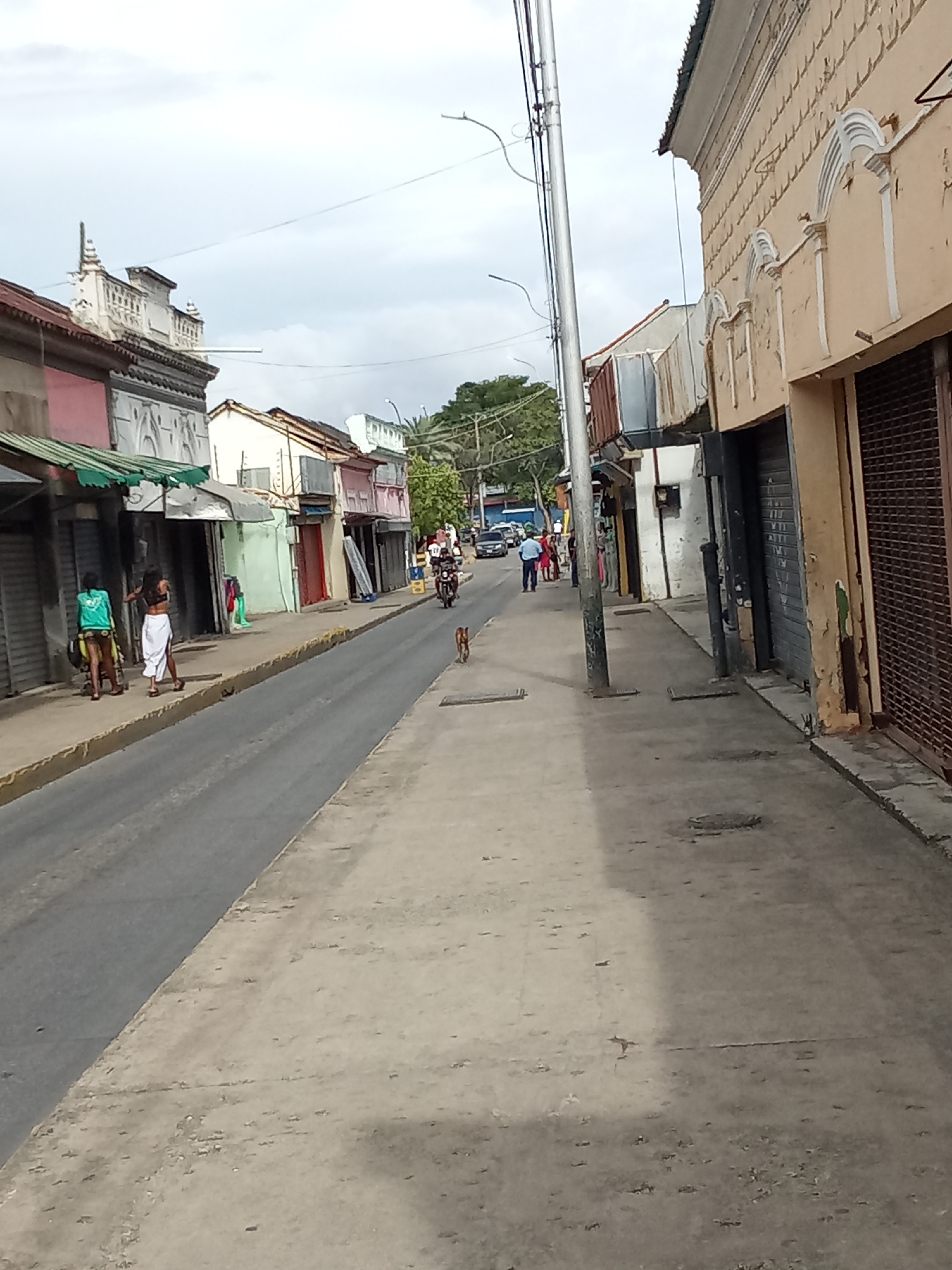 The image depicts a street scene in what appears to be the city of Juan Griego, Venezuela.
**Environment:** The street is paved, with a sidewalk on the right-hand side. Buildings line both sides of the street, primarily two-story structures with varying architectural styles. Many of the buildings appear to have shops or businesses on the ground floor, with some having metal roll-up doors that are closed. A utility pole is positioned along the sidewalk on the right side of the street.
**People:** Two women are visible walking on the left side of the street, accompanied by what appears to be a stroller. Further down the street, other pedestrians can be seen walking in the same direction. A person is riding a motorcycle toward the camera.
**Objects:** Vehicles are parked further down the street. A small dog is located in the middle of the street in front of the sidewalk on the right.
**Overall Impression:** The scene suggests a quiet day in a commercial area of Juan Griego. The closed shop doors may indicate a holiday or off-peak hours. The presence of pedestrians and vehicles suggests some level of activity.