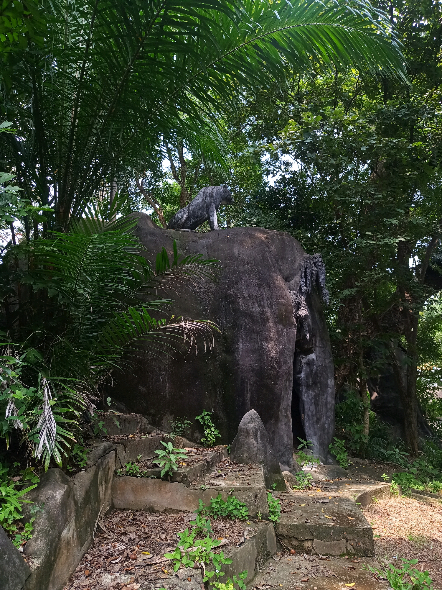 The image depicts an outdoor scene in Tambon Pak Nam, Thailand, featuring a large, weathered rock formation with an artificial entrance. A grey, concrete sculpture of a large cat, possibly a tiger or lion, is positioned atop the rock. Lush green foliage, including palm fronds and other tropical plants, surrounds the rock formation, creating a dense, jungle-like atmosphere. In the foreground, there are crumbling concrete stairs and pathways, suggesting a neglected or aged attraction. The lighting suggests it is daytime, with sunlight filtering through the dense tree canopy. There are no people visible in the image.