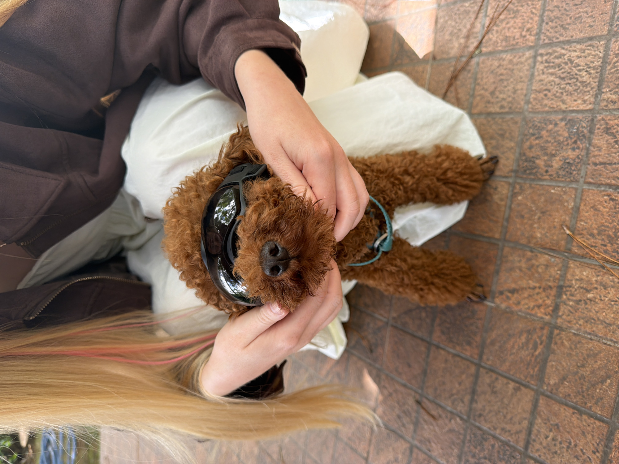 A person with blonde hair, with pink streaks, wearing a brown jacket and a cream-colored dress, is holding a small, fluffy, brown poodle dog. The dog is wearing large, black goggles. The scene is outdoors, with a tiled ground visible. The location is in the city of Xuan Truong - Da Lat, Vietnam.