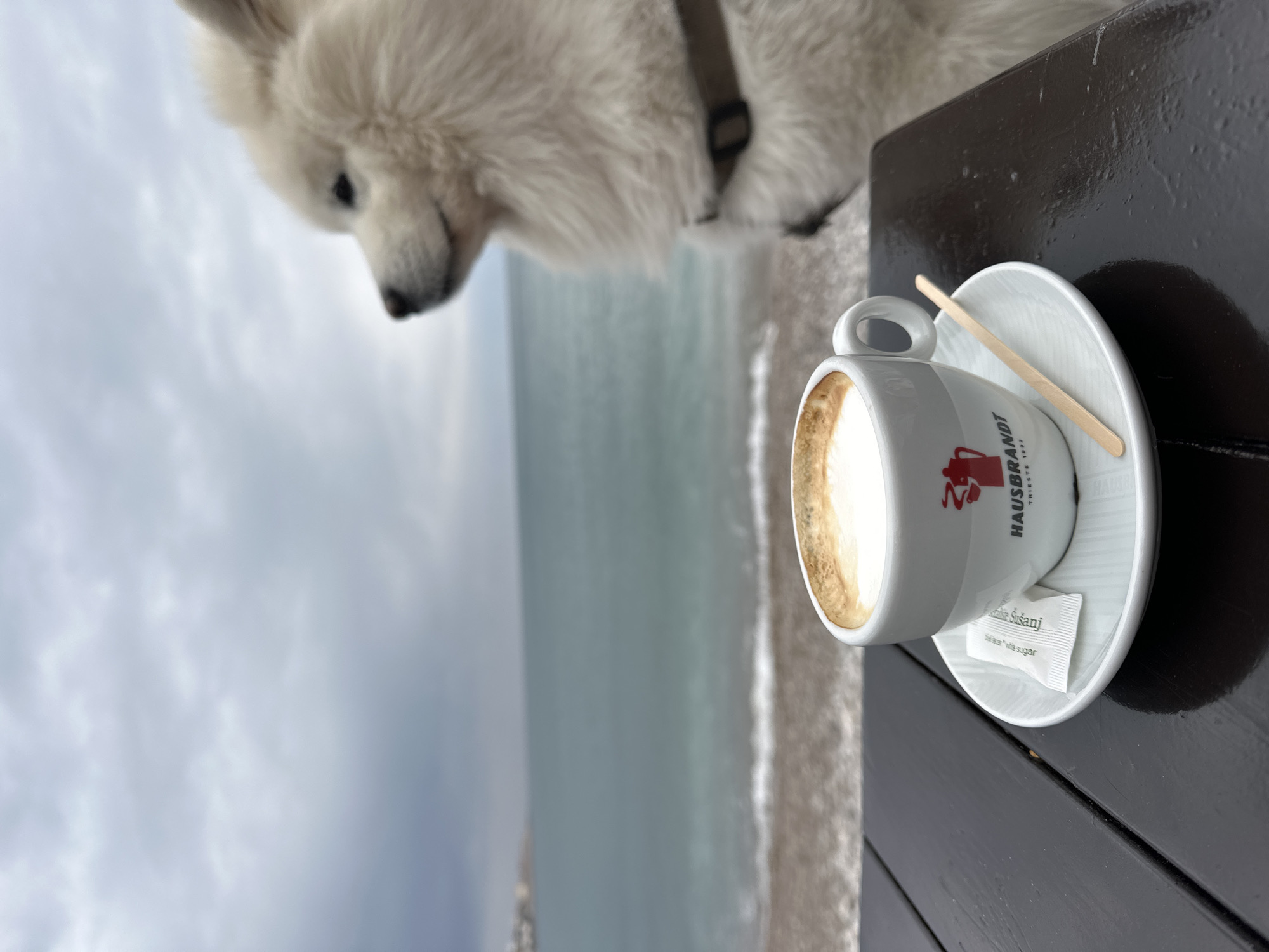 A cup of cappuccino sits on a black wooden table, accompanied by a small packet of white sugar and a wooden stirrer, at an outdoor cafe. The cup is branded with "HAUSBRANDT TRIESTE 1892". The background features a beach and the Adriatic Sea under a cloudy sky. A fluffy white dog with a black harness is partially visible in the top portion of the image. The photo was taken in the city of Šušanj, Montenegro.