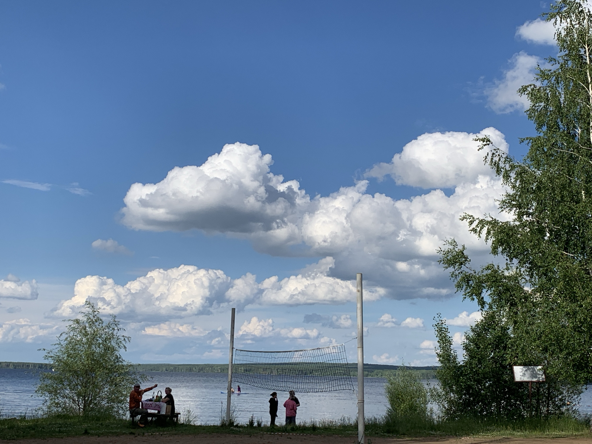 The image depicts a sunny day at a beach in Chaikovsky, Russia, with a clear blue sky and fluffy white clouds. In the foreground, a volleyball net is set up, with two people standing near it. To the left, a picnic table is set up near the water, with two people sitting and interacting. The water is calm, and a line of trees can be seen in the distance. A large birch tree with green leaves is prominent on the right side of the image. The ground is covered with grass and dirt.