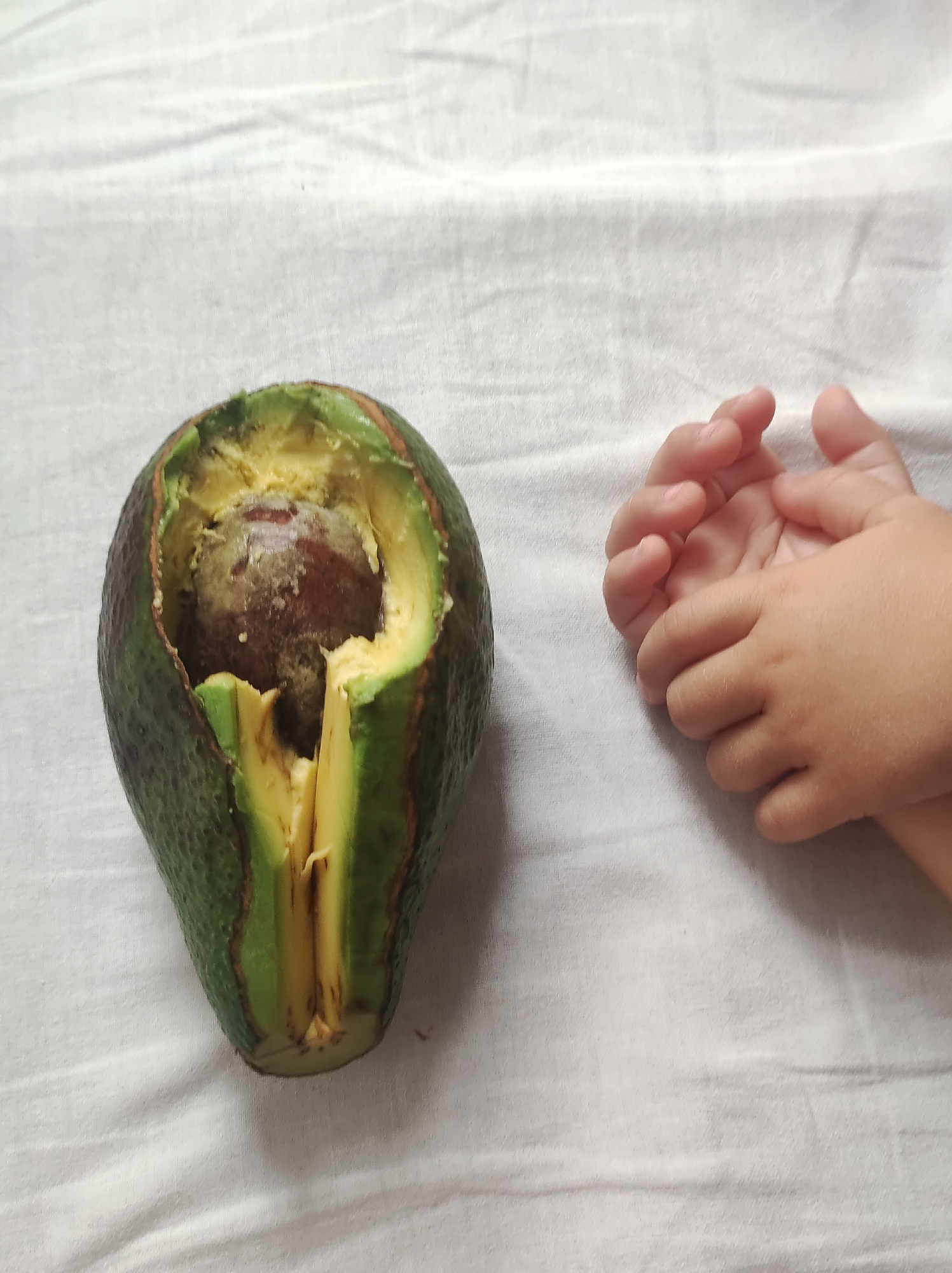 A halved avocado with a large pit is positioned on a wrinkled white cloth. To the right of the avocado are two small human hands, appearing to belong to a child, resting on the same cloth. The avocado is dark green on the exterior and reveals its light green flesh and brown pit within. The hands are light-skinned, with visible fingers and fingernails. The background consists solely of the textured white cloth, which has visible folds and creases. The scene appears to be indoors, given the lighting and the nature of the background material.