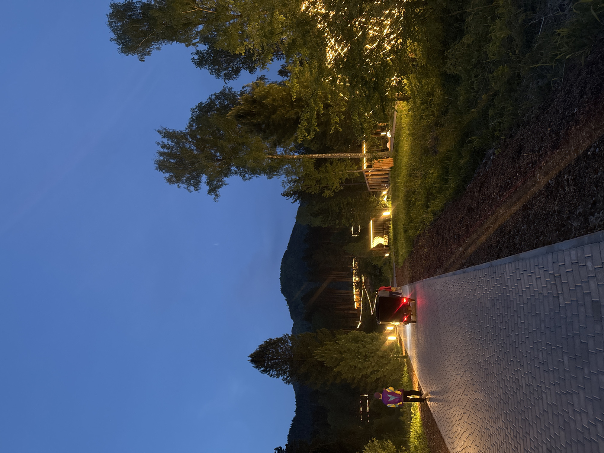 A vertical shot shows a street scene in Ust'-Muny, Russia at twilight. The sky is a deep blue. A paved walkway stretches into the distance. A dark-colored vehicle with its brake lights illuminated is on the walkway. A person wearing a purple and yellow jacket stands near the vehicle. Trees and buildings with lit facades line the path. Hills rise in the background.