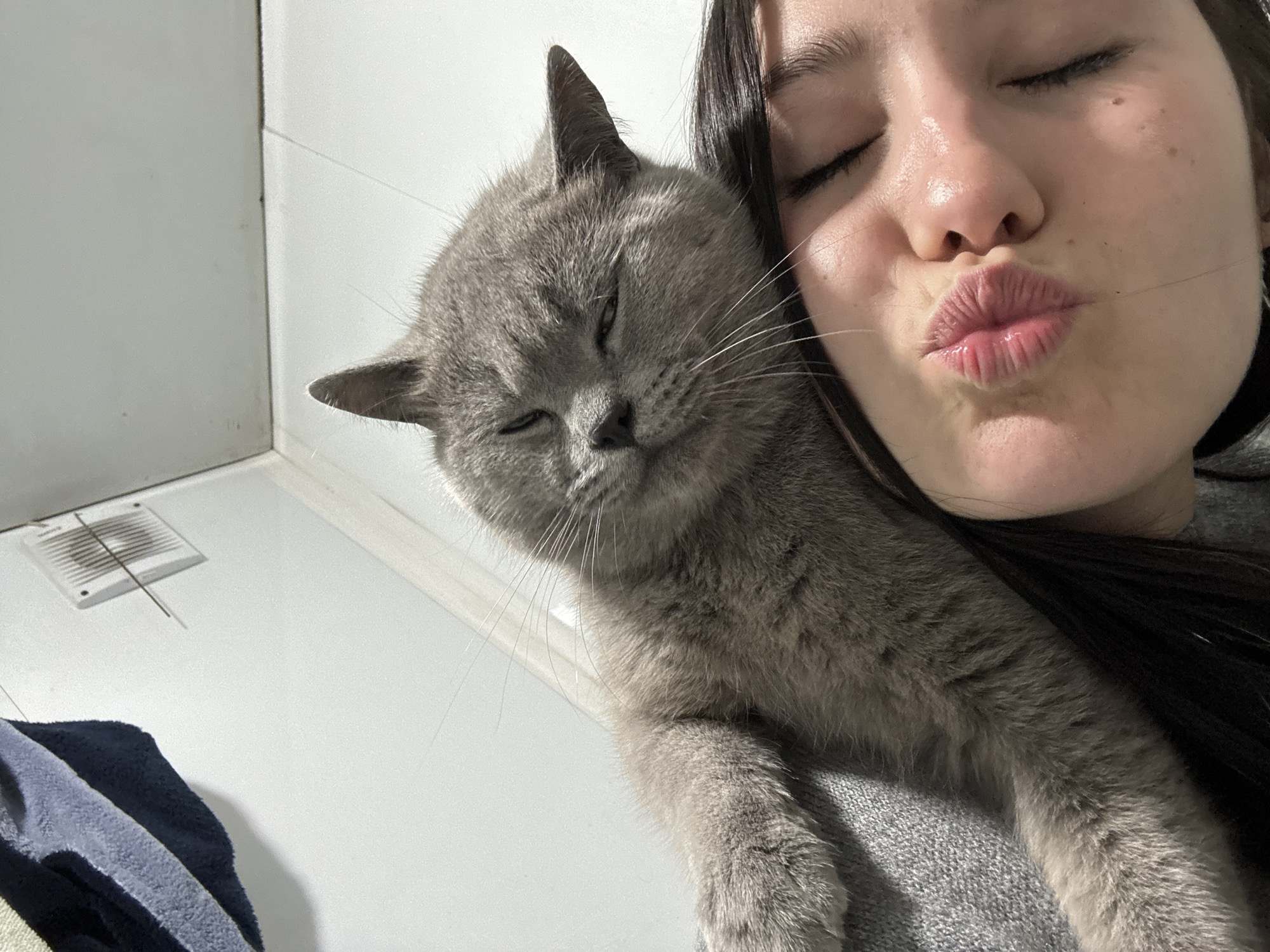 A close-up selfie captures a tender moment between a young woman and her cat in an indoor setting, possibly a bathroom or utility area, located in Фоки, Russia. The woman, positioned on the right side of the frame, has dark hair and her eyes are closed, with her lips pursed in a "kissy face" expression, indicating affection. A grey British Shorthair cat, with short fur, occupies the left side of the frame, snuggled closely against the woman's shoulder or chest. The cat also has its eyes partially closed, appearing relaxed, sleepy, and content, with visible white whiskers.
The background consists primarily of plain white walls, one of which shows a faint, thin line suggesting a corner or seam. In the lower-left corner of the background, a white vent with horizontal slats is visible on a white surface, possibly a floor or another wall. A thin, dark, needle-like object rests on the vent. Below the vent, a stack of folded dark blue and lighter blue or grey fabric, possibly towels or clothes, is visible. The lighting is artificial and bright, characteristic of an indoor environment, making the time of day indeterminate. There is no clearly legible text in the image, although the vent might have faint, unidentifiable markings. The overall emotion conveyed is one of warmth, affection, and comfort between the pet and its owner.