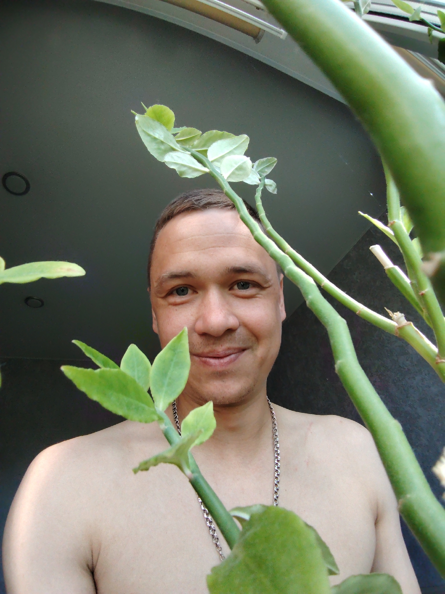A low-angle close-up shot depicts a shirtless man with short brown hair and blue eyes, wearing a silver chain necklace. He is smiling slightly. The background is a dark gray, presumably a wall or ceiling. A green plant with small, rounded leaves is prominently positioned in the foreground, partially obscuring the man's face and body. The location is Chaikovsky, Russia.