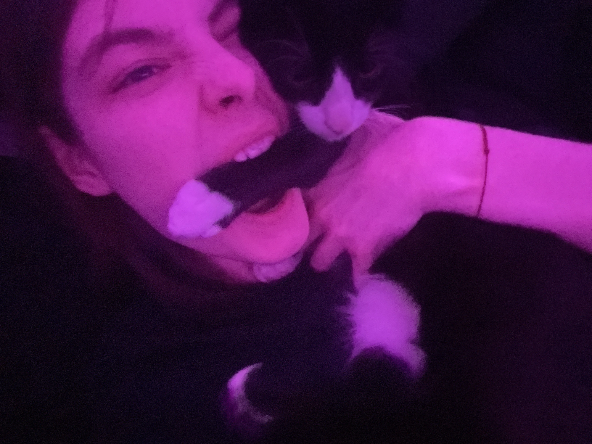 A person with light skin, partially illuminated by a purple light source, appears to be holding a black and white cat. The person's mouth is open, possibly in a playful gesture towards the cat, which is positioned near their face. The cat has primarily black fur with some white markings. The person's hand is visible, holding the cat, and a thin, possibly red, bracelet is on their wrist. The background is dark and largely obscured, with a crescent moon visible towards the bottom of the image. The location, Saint Petersburg, Russia, is not discernible from the visual information provided.