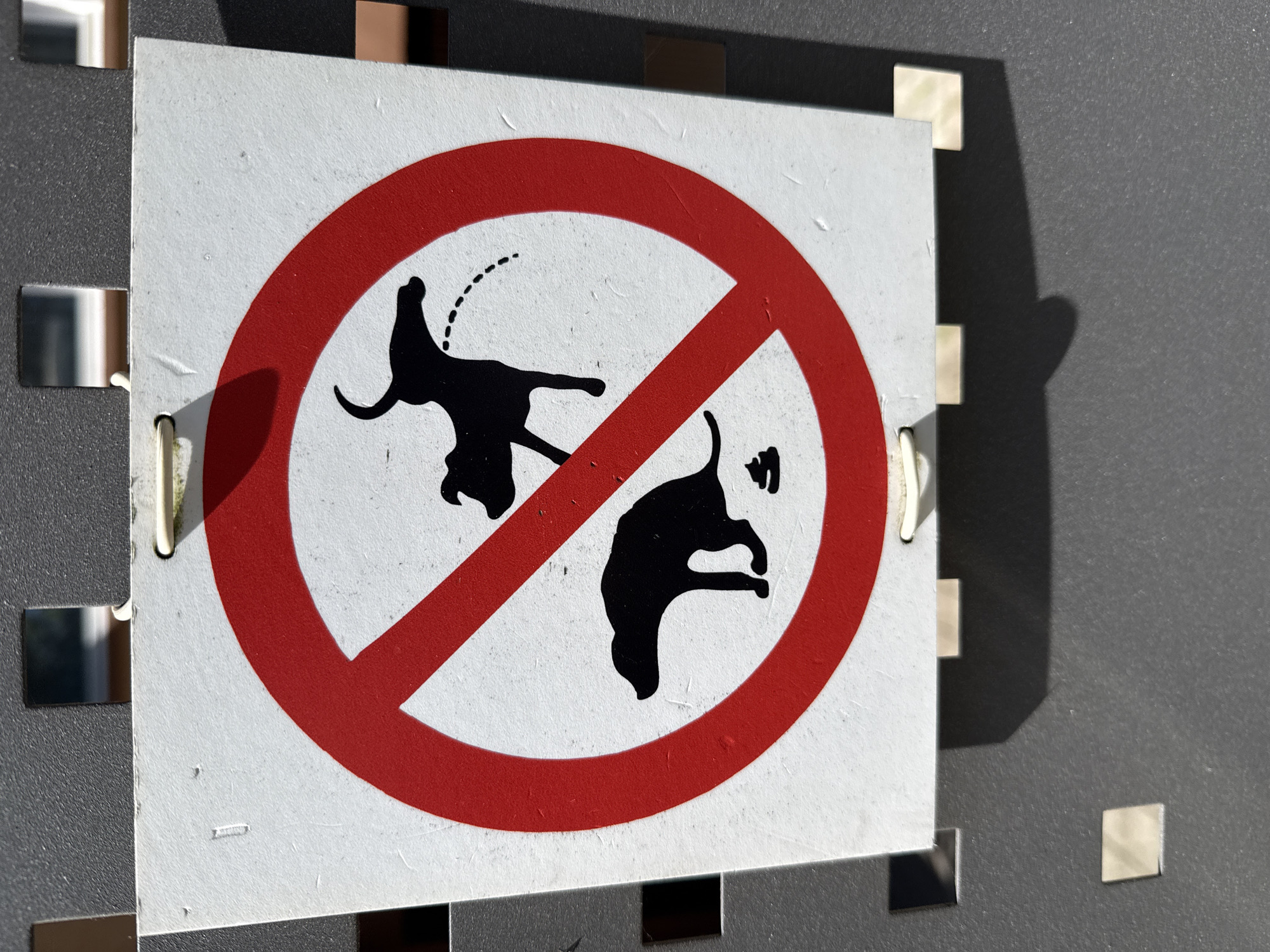 A direct, eye-level shot captures a weathered rectangular prohibition sign mounted outdoors in the City of Zagreb, Croatia. The sign features a white background with a prominent red circle and diagonal slash, signifying "no" or "forbidden." Within this universal symbol, two black dog silhouettes illustrate specific banned activities: one dog is depicted lifting its leg to urinate, with dashed lines indicating a urine stream, and another is shown in a defecating posture with a small pile beneath.
The sign, showing signs of use with slight wear and dirt on its white surface, is securely attached to a dark grey, textured wall or panel. Multiple small, reflective, square clips hold the sign in place, and a white wire-like loop is also visible near the upper left edge. Strong, direct sunlight illuminates the scene, casting sharp, elongated shadows from the sign and its mounting clips onto the dark background, suggesting a clear, sunny daytime.