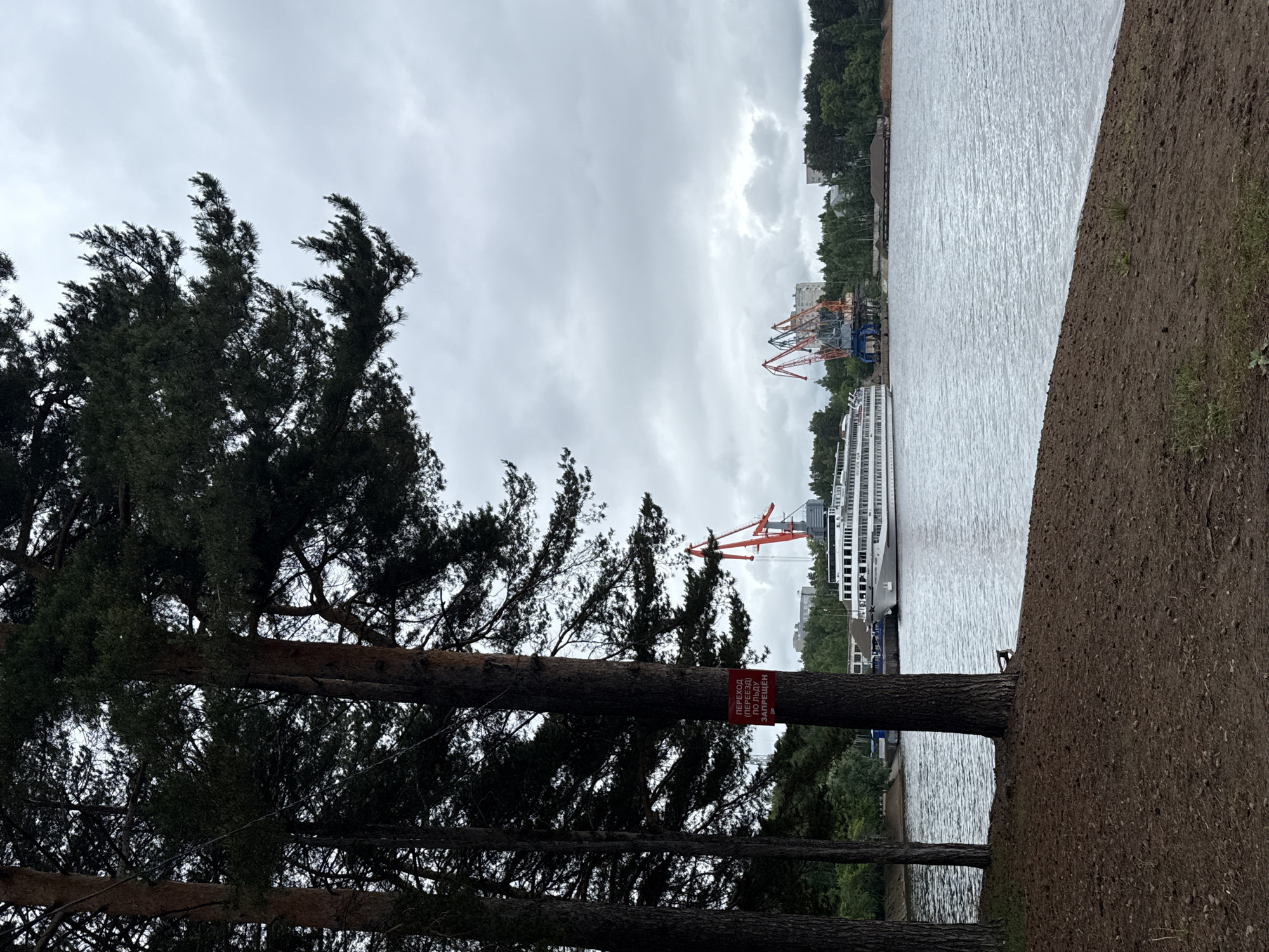 This image captures a waterfront scene in the city of Chaikovsky, Russia, under an overcast sky. The foreground features a reddish-brown dirt slope descending towards a body of water, with scattered blades of green grass. Several tall pine trees with dark green needles and reddish-brown trunks occupy the left side of the frame. A red rectangular sign, bearing Russian text that translates to "Crossing (travel) on ice is forbidden," is affixed to the trunk of the central pine tree.
The midground shows a wide expanse of water with a subtly rippled surface. On the opposite bank, a large, multi-decked white passenger vessel, identified by the name "КОНСТАНТИН-ВЕЛИКИЙ" (KONSTANTIN-VELIKY) on its hull, is docked. Its bow is oriented towards the left. Behind the vessel and to its right, industrial port equipment is visible, including a prominent red gantry crane and a cluster of blue and orange cranes. A dense line of green trees extends along the far bank behind the port structures. In the background, partially obscured by the trees, several light-colored buildings are discernible beneath a uniformly grey, cloudy sky. No individuals are present in the scene.