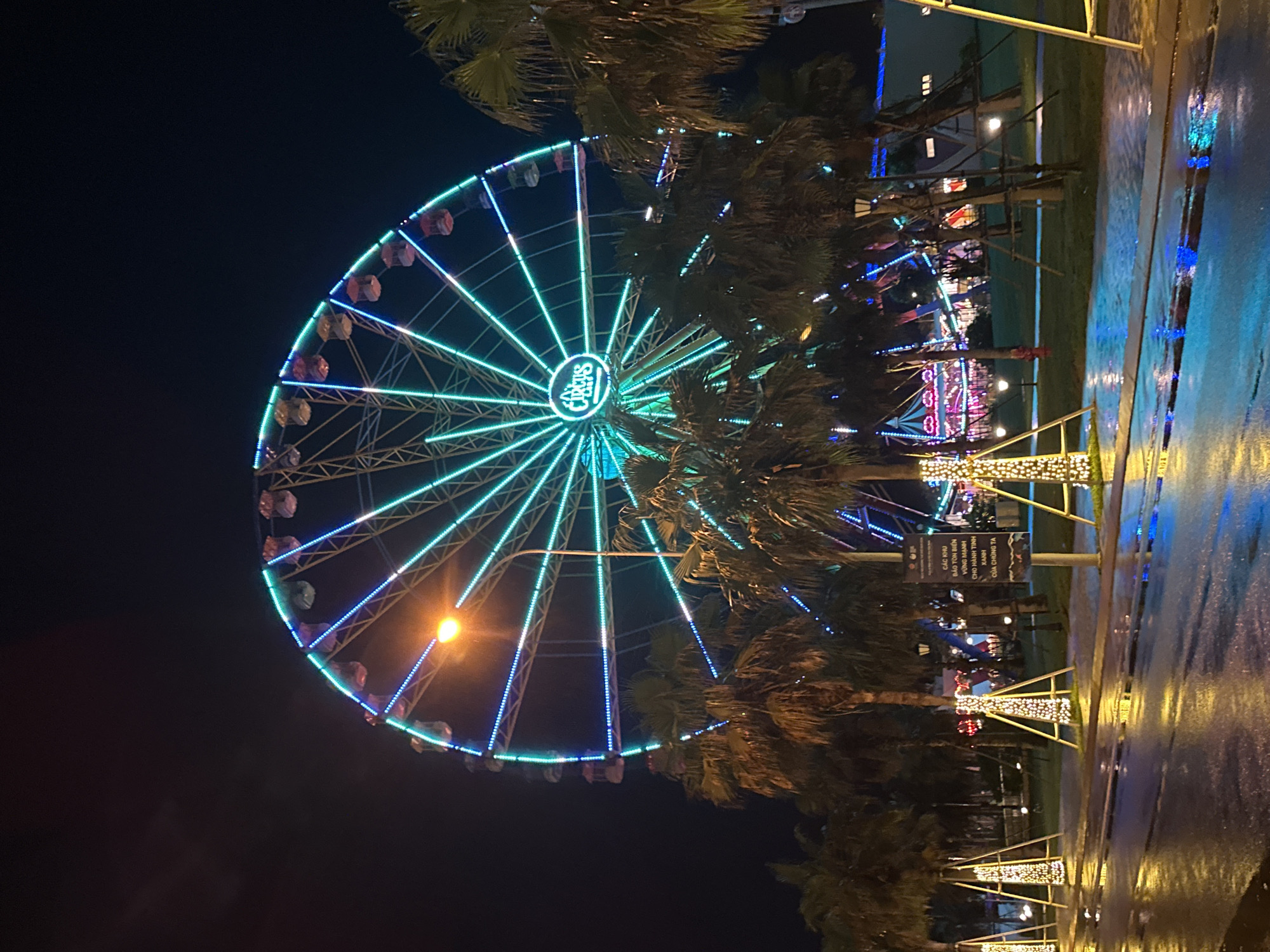 An illuminated Ferris wheel, adorned with vibrant blue and green LED lights, dominates the night scene. The Ferris wheel, prominently featuring the word "Cintus" at its center, is captured against a dark sky. Several palm trees frame the Ferris wheel and line a wet, reflective pathway or ground surface to the right, suggesting recent rain or damp conditions. The ground reflects the bright blue and yellow lights from festive decorations and light poles. In the background, other smaller structures with colorful lights, possibly additional amusement rides or buildings, are visible. A black sign with white Vietnamese text is visible on the right, reading "CÁC KHU BẢO TỒN BIỂN VỮNG MẠNH CHO HÀNH TINH XANH CỦA CHÚNG TA," which translates to "STRONG MARINE PROTECTED AREAS FOR OUR GREEN PLANET." The image depicts a lively night scene in Tien Thanh Ward, Vietnam.