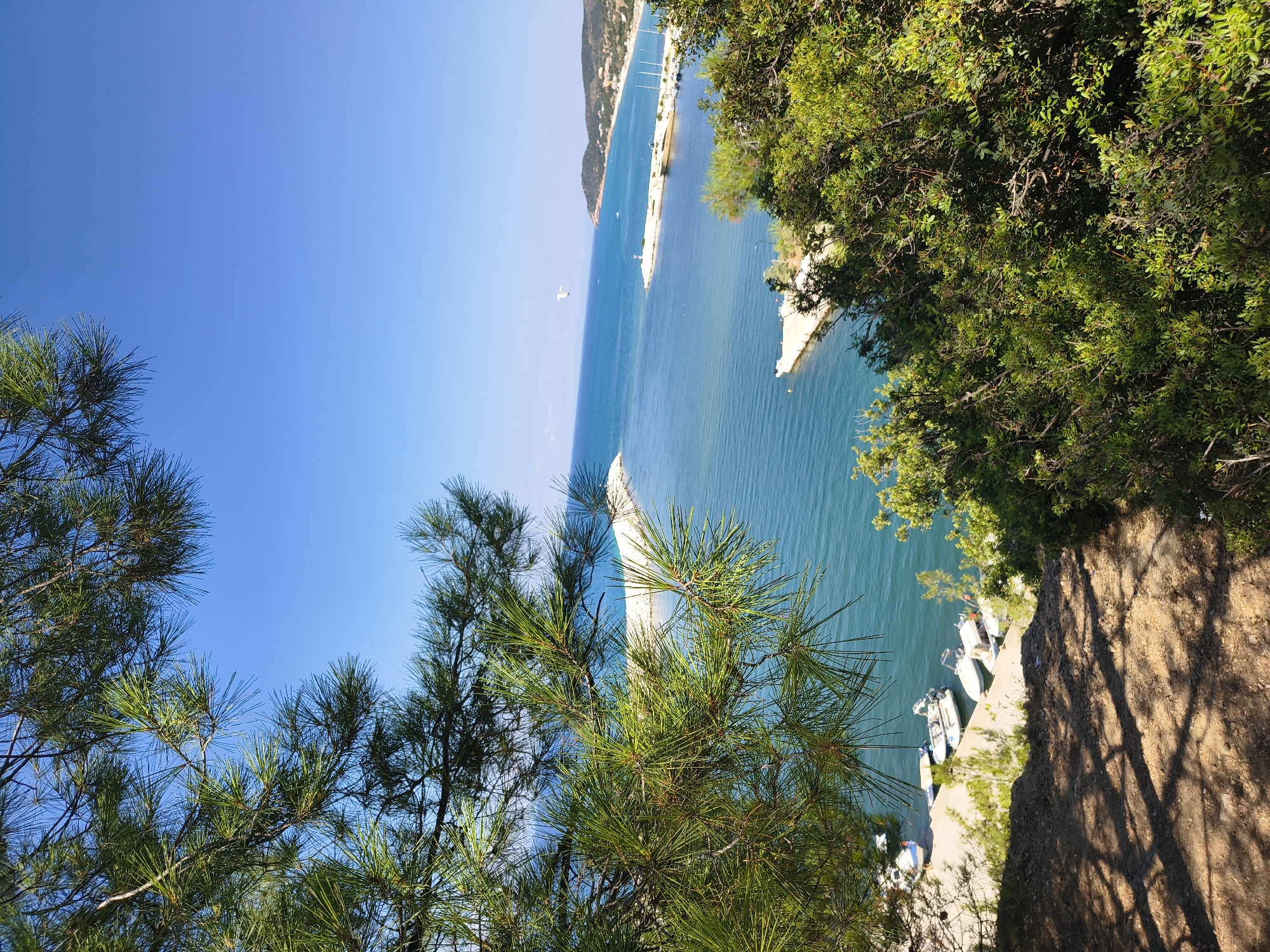 The image depicts a scenic view of the Aegean Sea near Limenaria, Greece. In the foreground, lush green pine branches and dense foliage frame the scene, casting dappled shadows on a dirt path. The path slopes down towards a small bay where several small boats are docked along a sandy shore.
Beyond the shore, the turquoise waters of the sea stretch out to the horizon under a clear blue sky. A man-made breakwater juts into the sea, sheltering a small harbor. Several sailboats with white masts are visible docked within the harbor, along with some smaller vessels. Further in the distance, a coastline with rolling hills dotted with buildings and vegetation meets the sea. A bird is seen in flight in the upper portion of the frame over the water. The overall impression is one of a tranquil coastal setting on a sunny day.