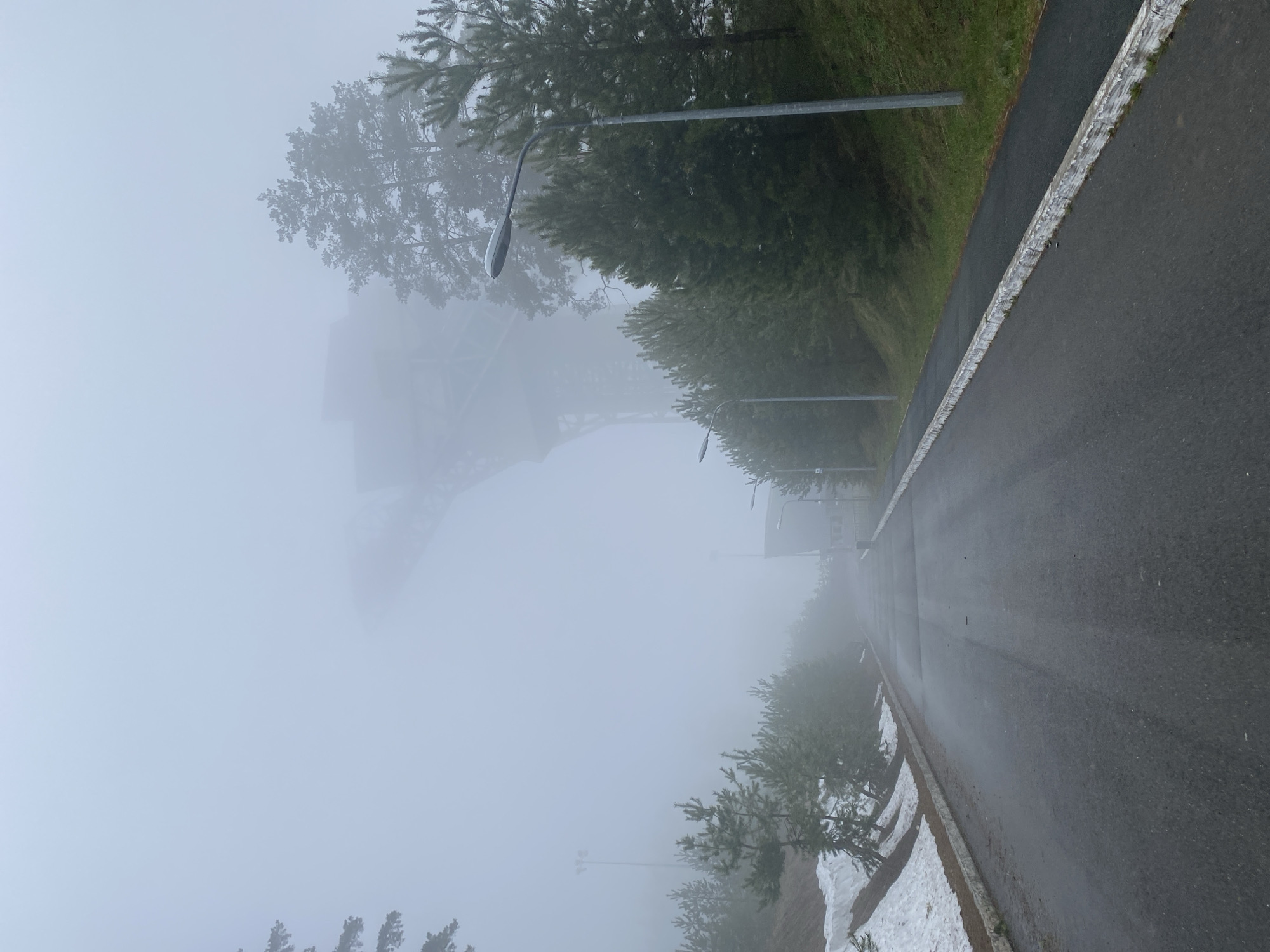 A portrait-oriented photograph depicts a fog-shrouded road scene in what appears to be a natural or semi-urban setting, possibly in Прикамский, Russia, given the context. The dominant feature is an extremely dense, grayish-white fog that severely limits visibility, creating an ethereal and almost monochromatic atmosphere.
A dark asphalt road or pathway runs along the right side of the frame, appearing damp or wet. It is bordered on the left by a low, light-colored curb or barrier. Along the immediate edge of this curb, there are irregular patches of white, indicative of residual snow or ice, particularly visible in the foreground and extending into the midground. Beyond the curb, a grassy slope, green in color, rises gently, populated with numerous evergreen trees, likely conifers. These trees vary in size and density, with some larger specimens partially obscured by the fog.
Several modern streetlights with curved arms and dark fixtures are spaced along the left side of the road, receding into the thick fog. In the far distance, barely discernible through the dense mist on the left side of the image, is the faint outline of a large, dark, architectural structure. Its angular, truss-like form suggests it could be a bridge, a large industrial building, or a tower, its details heavily blurred by the atmospheric conditions.
The scene conveys a sense of quiet and isolation. There are no people or vehicles visible, and no discernible activity is taking place. The heavy fog makes it difficult to determine the exact time of day, but the diffused light suggests either an early morning, late afternoon, or an overcast day. No visible text is present in the image.