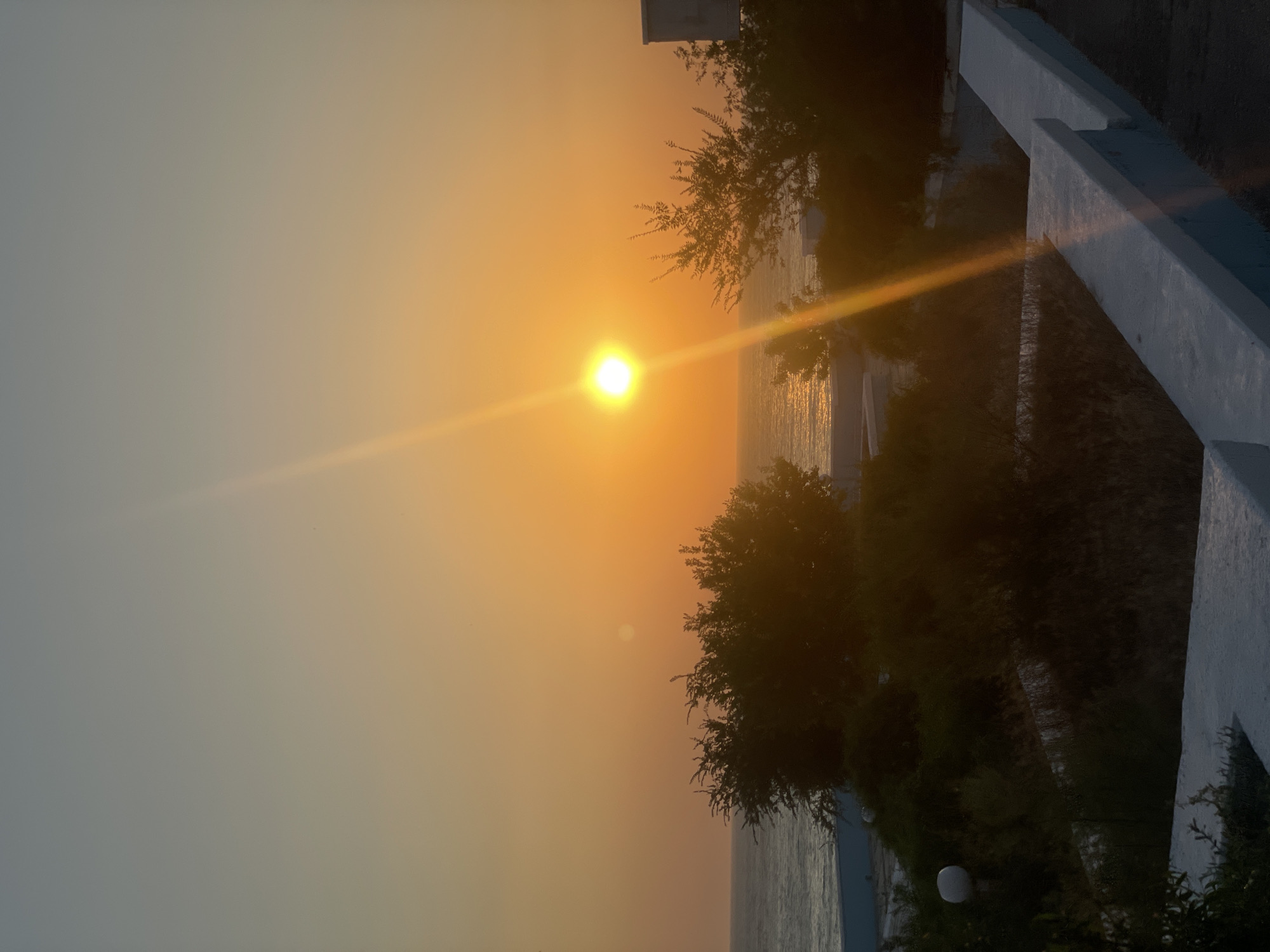 The image depicts a sunset over the Caspian Sea in Aktau, Kazakhstan. The sun, a bright orb, is positioned slightly left of center, casting a warm orange glow across the sky and reflecting on the water. Silhouetted against the vibrant sky are dark, bushy trees and a faint outline of buildings. In the foreground, a white, concrete railing runs along the edge of a terrace, with dry vegetation visible below. The scene is tranquil and evokes a sense of natural beauty at the end of the day.