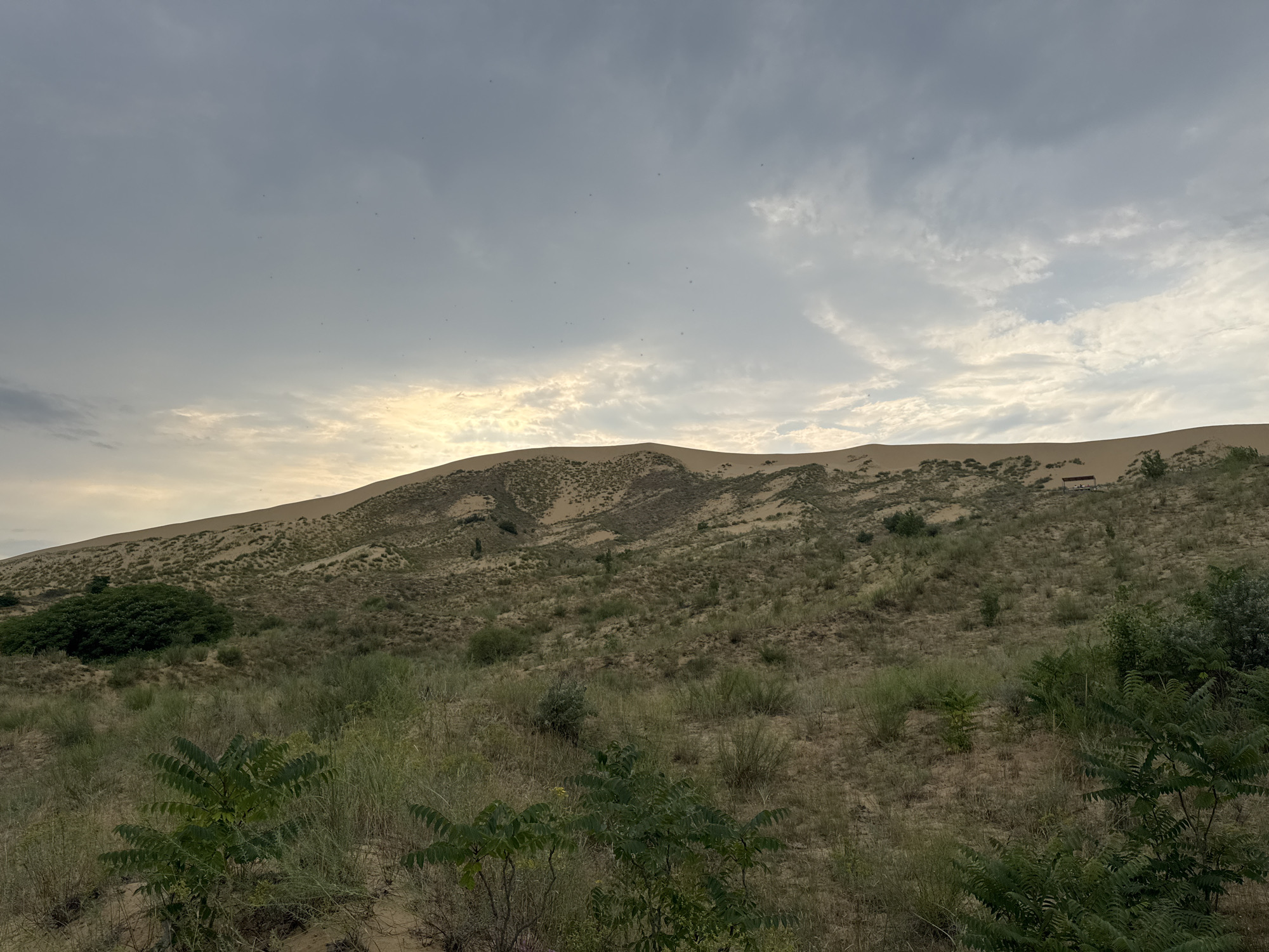 The image depicts a wide, rolling sand dune landscape under a cloudy sky with patches of light breaking through. The sand dunes are sparsely covered with dry grasses and low-lying scrub vegetation. In the foreground, there are some taller green plants and bushes. In the distance, on the crest of a dune, a small wooden structure, possibly a bench or a small shelter, is visible. The overall scene suggests a natural, arid environment. The location is identified as being in the city of Korkmaskala, Russia, implying this is a natural reserve or a popular natural attraction within that region. There are no people or animals visible in the image. The lighting suggests it is either early morning or late afternoon.