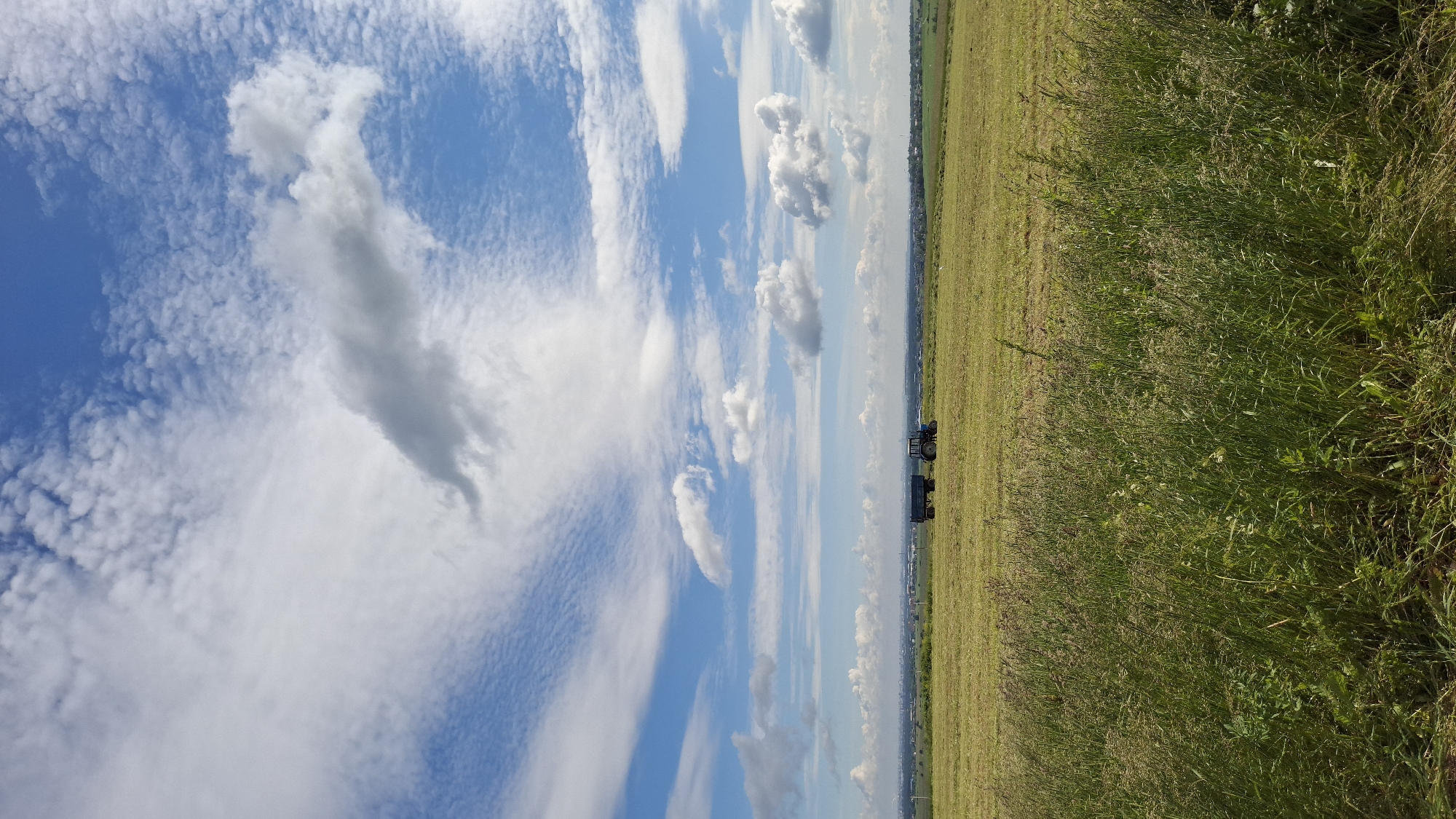 A tractor and trailer are parked on a mown grassy field in Kaporskoe, Russia, under a blue sky filled with scattered clouds. The field extends to the horizon where a distant cityscape is visible. The foreground is dominated by tall, green grass.