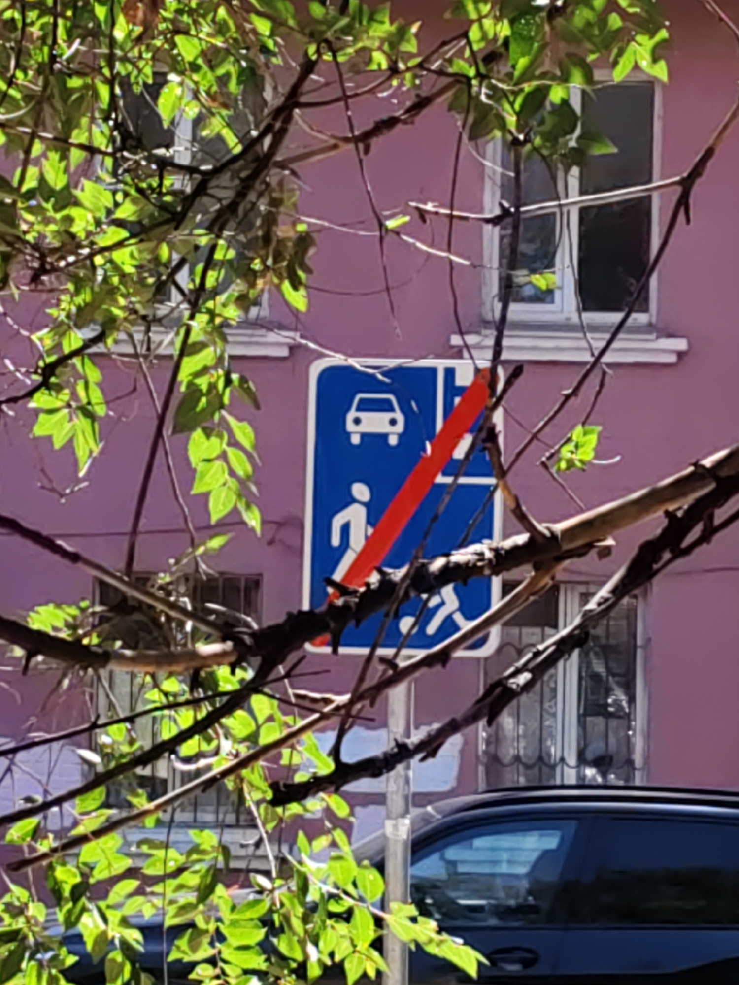 In Rostov-on-Don, Russia, a road sign depicting a car and a pedestrian, with a red diagonal line indicating prohibition, is partially obscured by branches and leaves from a tree. The sign has a blue background and white symbols. Behind the sign, a building with a pink facade and white window frames is visible. The lower part of the image shows the dark-colored roof and windows of a car. The scene is set outdoors under daylight.