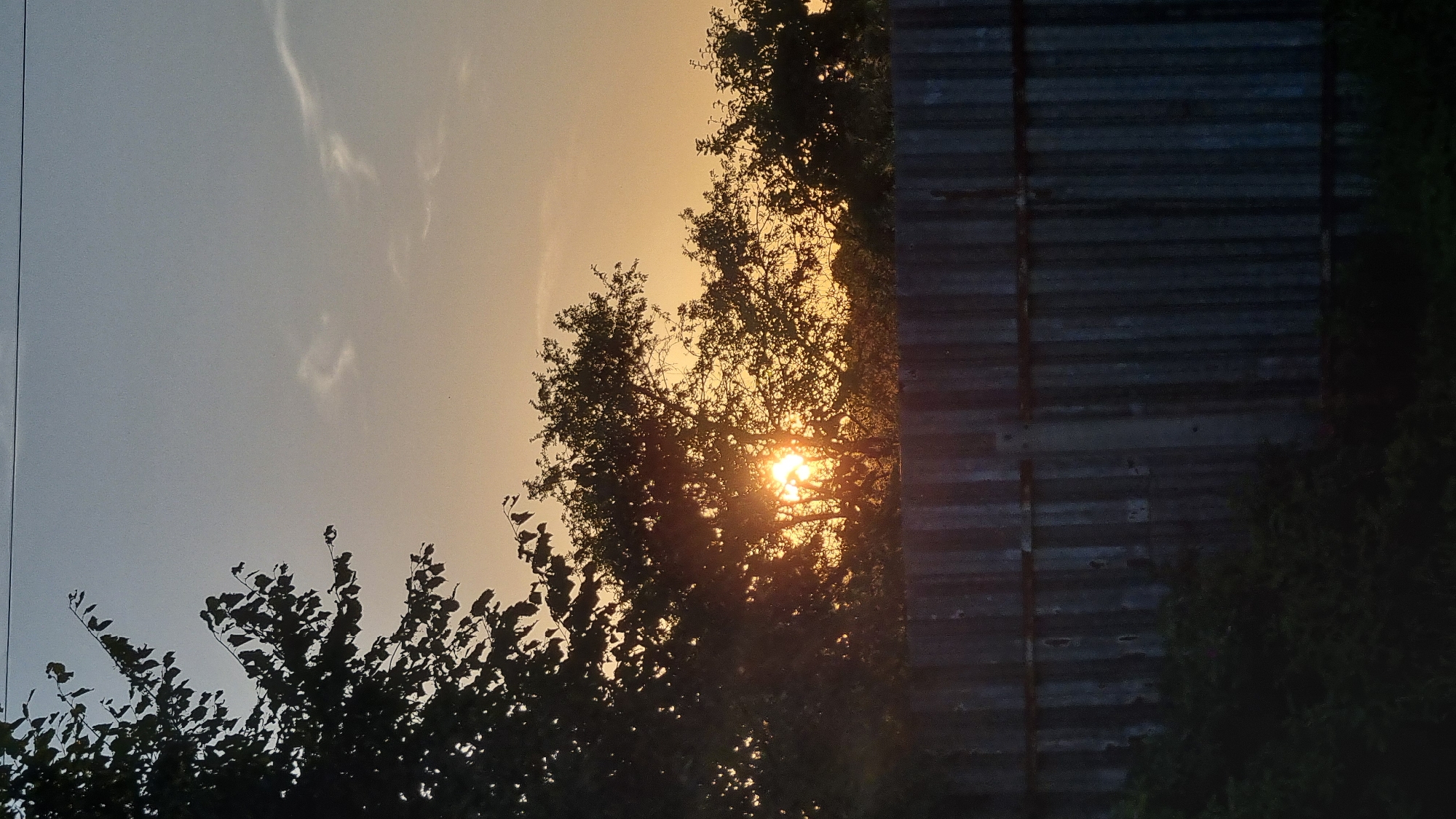 The image depicts a sunset scene in Vysokoe, Russia. A corrugated metal fence runs horizontally across the lower portion of the frame. Behind the fence, silhouetted trees obscure the setting sun, with rays of light filtering through the branches. The sky above transitions from a pale yellow near the horizon to a muted blue at the top, with a few wispy clouds. The overall atmosphere is serene and natural, suggesting a rural or suburban setting. There are no people visible in the image.