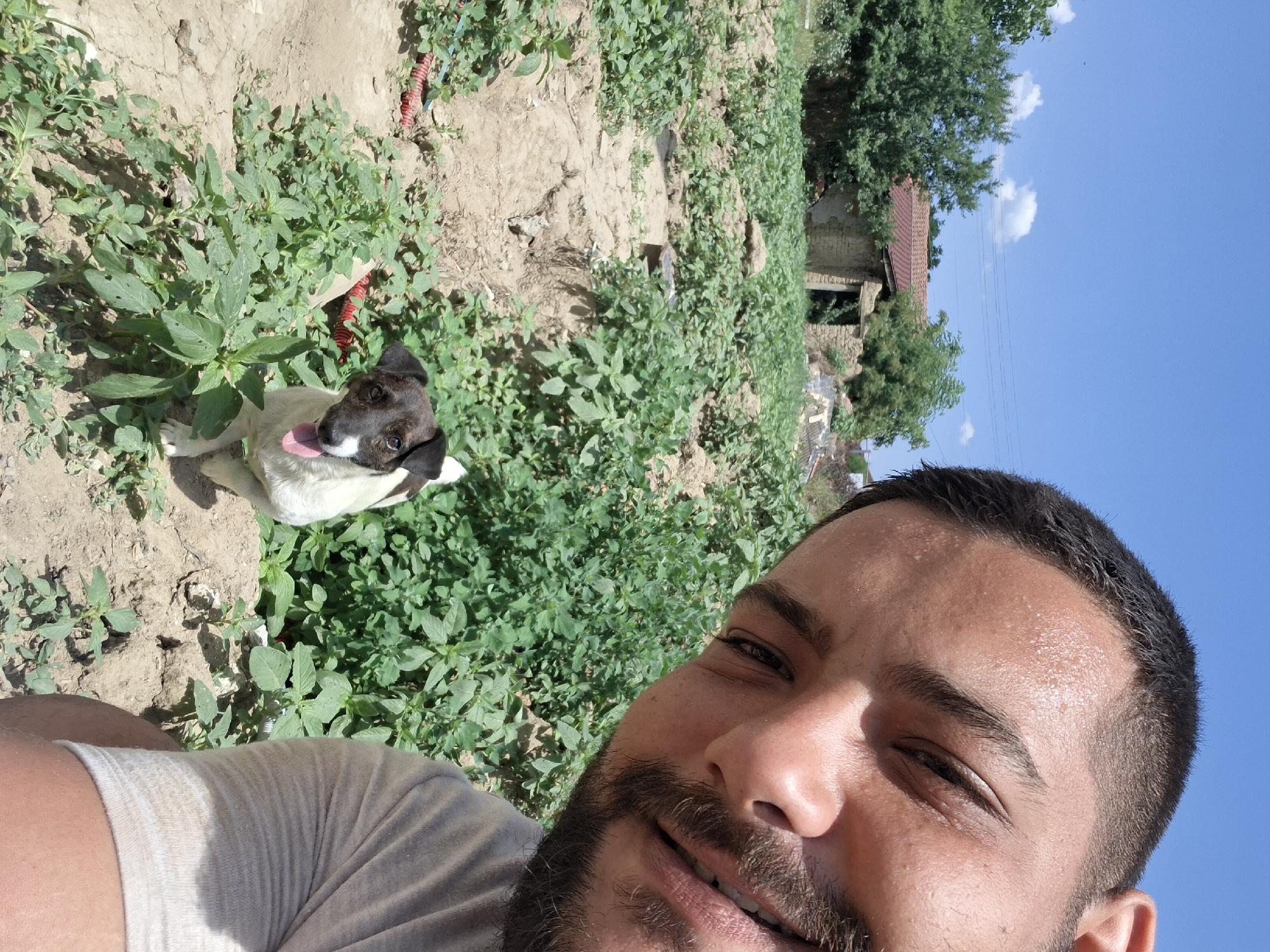 A man with dark hair and a beard is taking a selfie with a dog in a rural setting. The man's face is close to the camera, with sweat visible on his forehead. The dog, a Jack Russell Terrier mix with black and white markings, stands in front of him, panting with its tongue out. The background shows a field of green plants, a dirt path, and a dilapidated building with a red roof. The sky is clear and blue, with a few white clouds. This scene is located in the village of Dolna Malina, Bulgaria, a location known for its agricultural lands and rustic charm.