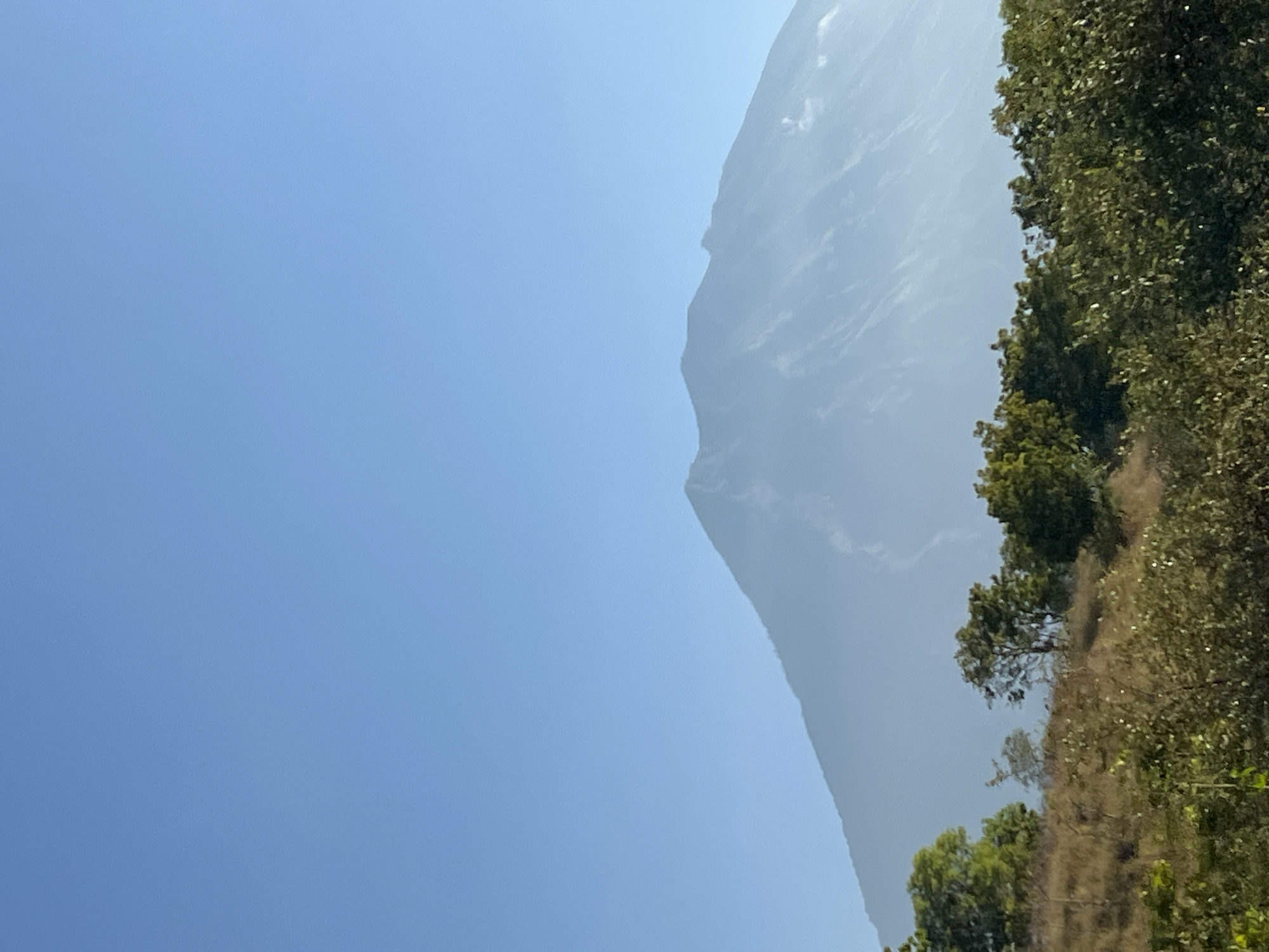 The image displays a vast, clear blue sky dominating the upper portion of the frame. Below the sky, a hazy, light blue mountain peak rises majestically. The mountain appears to be a volcano, with its summit shrouded in a light mist or clouds. The lower part of the image showcases a landscape with rolling hills covered in dry, golden grass and various types of green trees and bushes. Some of the trees have full, lush canopies, while others appear more sparse. The overall scene suggests a natural, outdoor environment, possibly in a rural or undeveloped area, consistent with the natural beauty of Kubu, Indonesia, known for its volcanic landscapes. There are no people or man-made structures visible in the image.