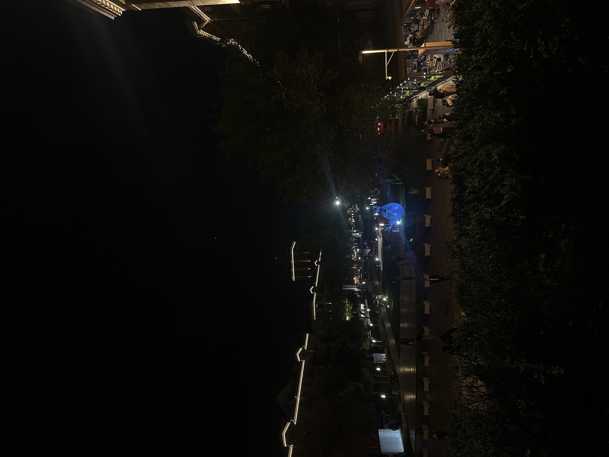 At night, this image shows a street scene in Yerevan, Armenia. The view is oriented vertically. A building with illuminated eaves borders the left side. On the right is a sidewalk bordering trees. The street is lined with lights and leads to a distant area where people are gathered near blue lighting. Trees and a restaurant area are on the right edge. People appear to be walking on the sidewalk. The sky above is dark.