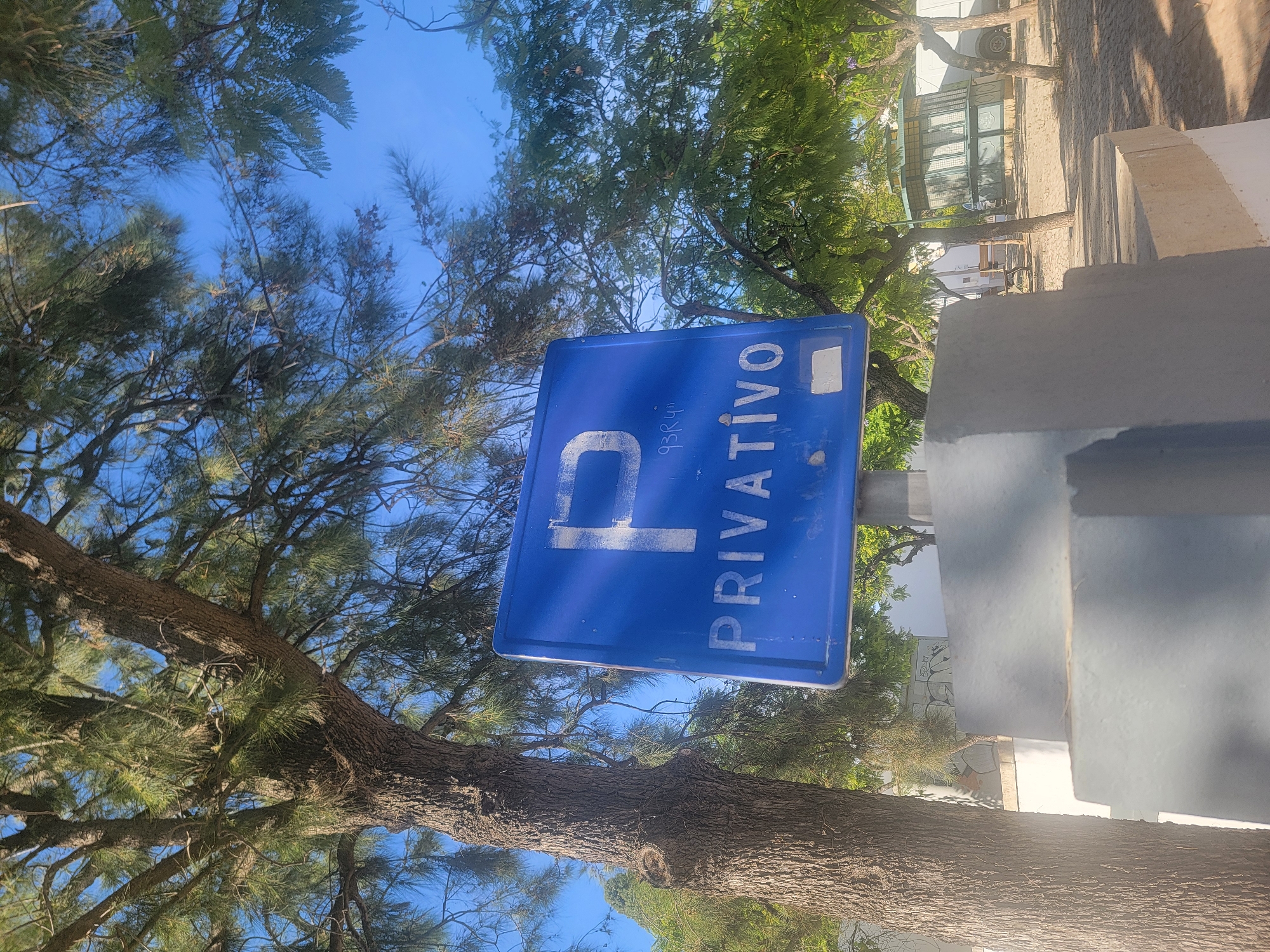 A blue parking sign with the letter "P" and the word "PRIVATIVO" is mounted on a gray post. The sign is partially obscured by a tree with a rough bark and green foliage. In the background, there are more trees, a white wall with some graffiti, and a small, green kiosk-like structure with a white roof. The ground is paved with interlocking bricks. The sky is clear and blue. The scene is outdoors, under a sunny sky. The location is the city of Faro, Portugal.