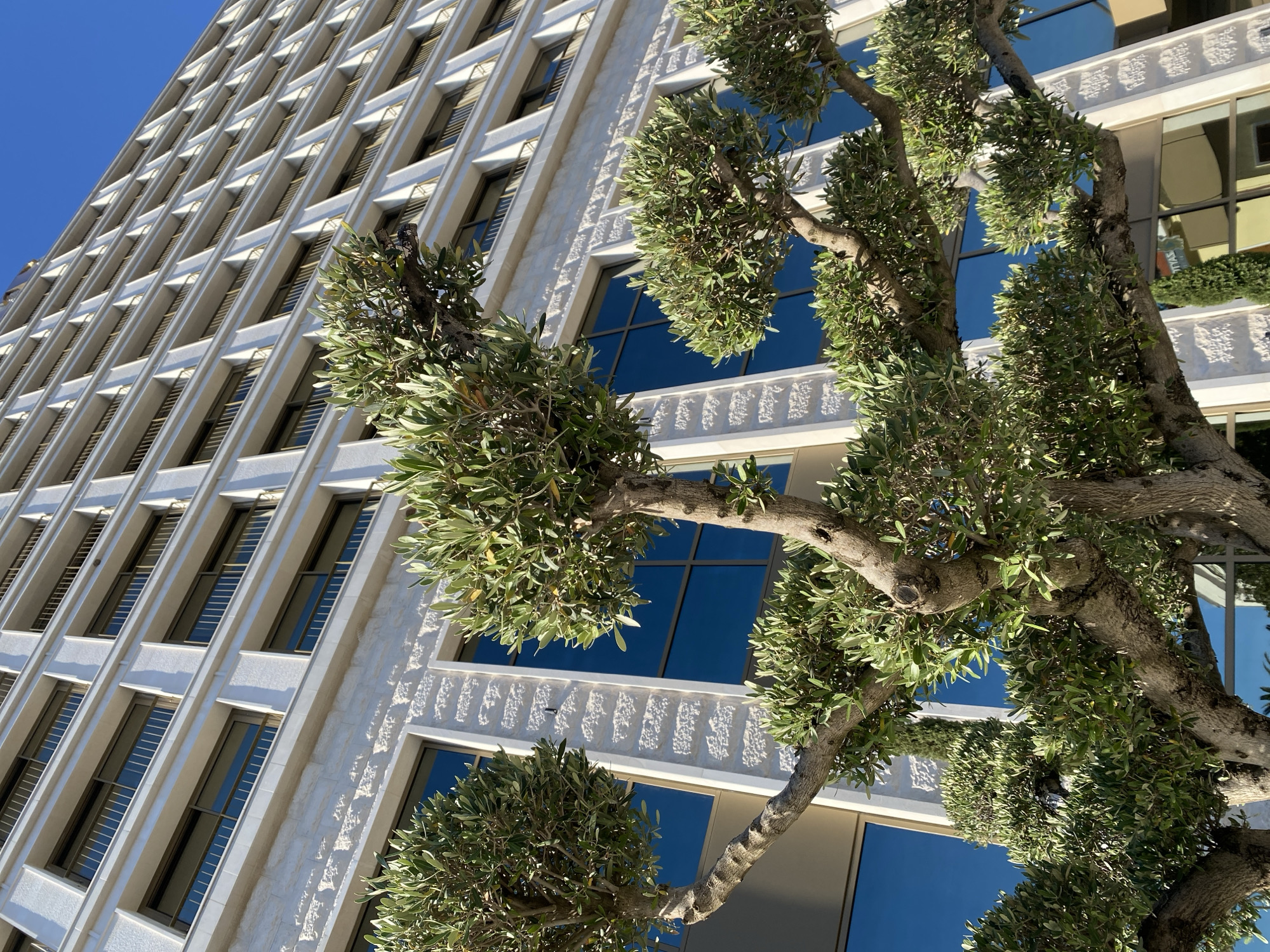 The image shows a view looking up at a tall, light-colored building with numerous windows and intricate architectural details. In the foreground, there is a tree with dense, green foliage obscuring a portion of the building. The windows reflect the clear, blue sky. The photograph appears to have been taken during the day with bright, natural light. The specific location in the city of Unknown, Unknown is unidentifiable from the provided visual data.